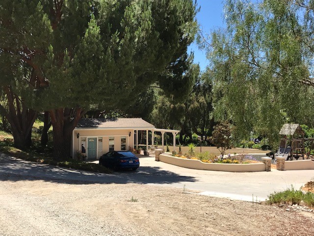 Zava Ranch - Organic Lemon Orchard