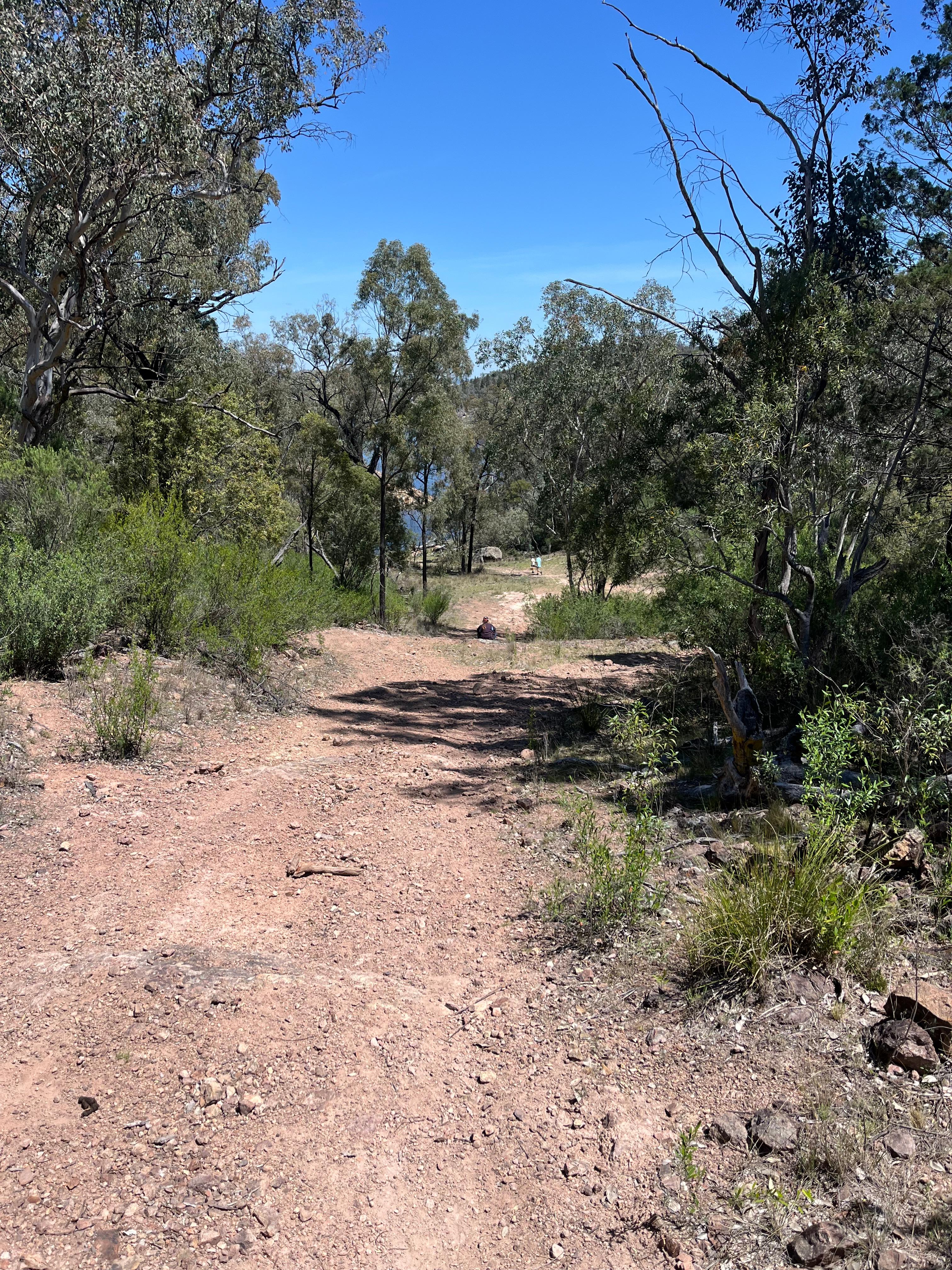 Pindari Centre Camping