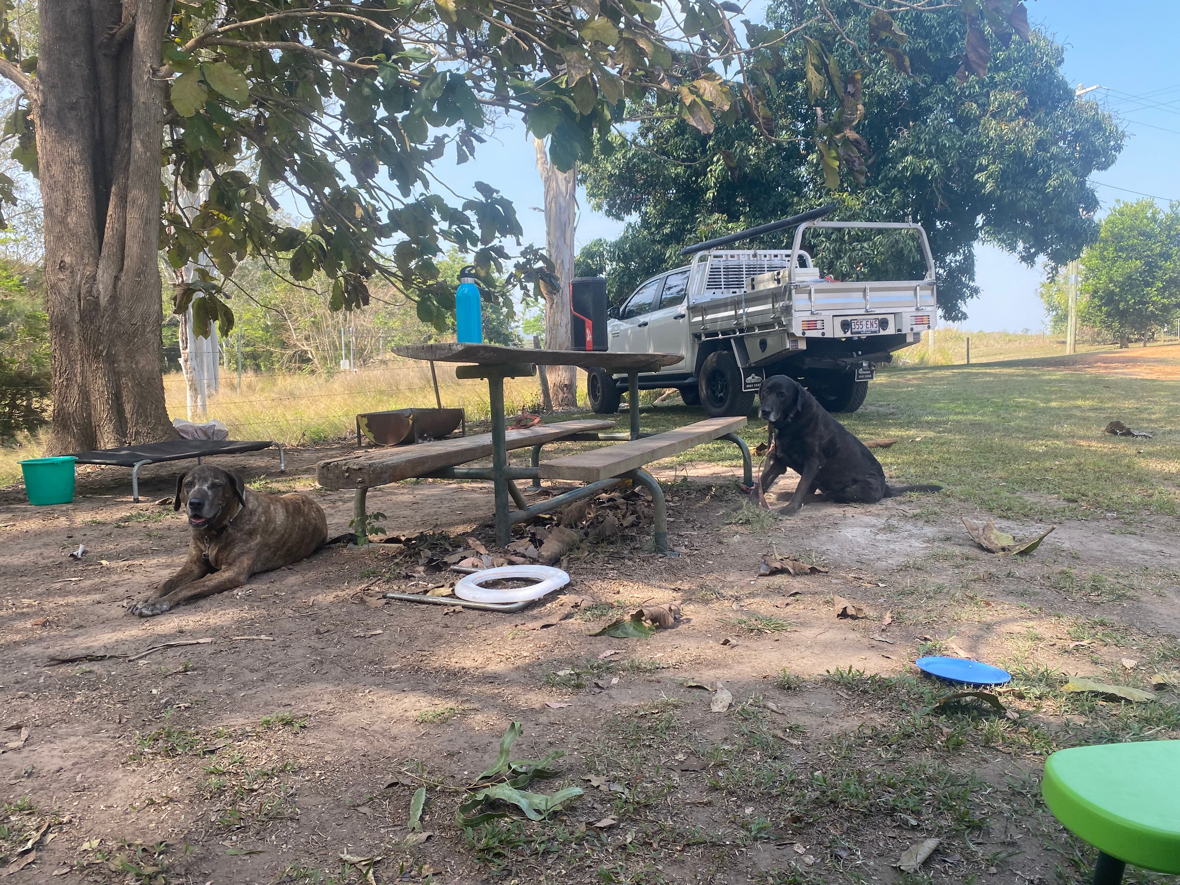 Rusty Pheasant RV Retreat