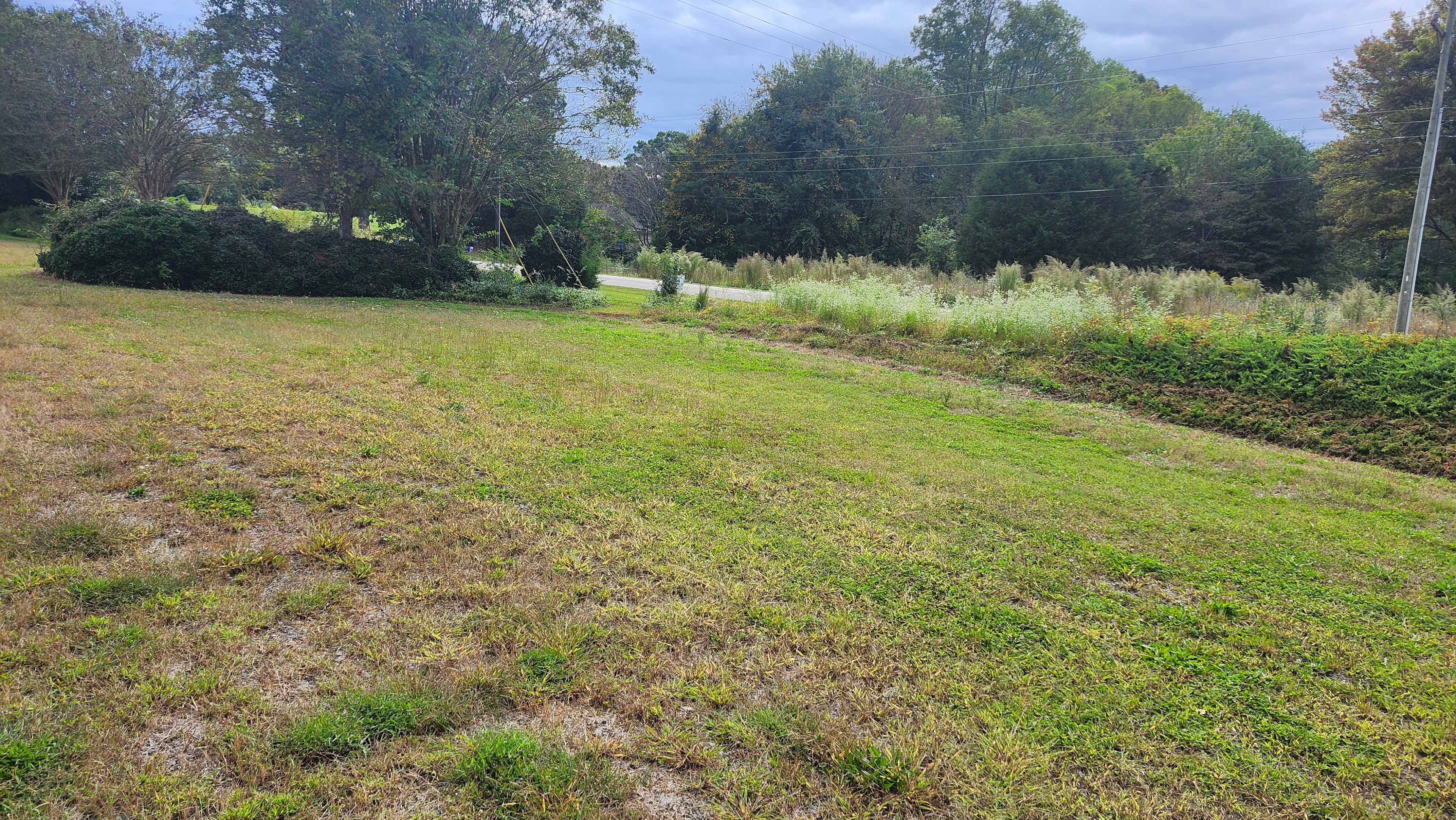 Ragapple Lassie Vineyard