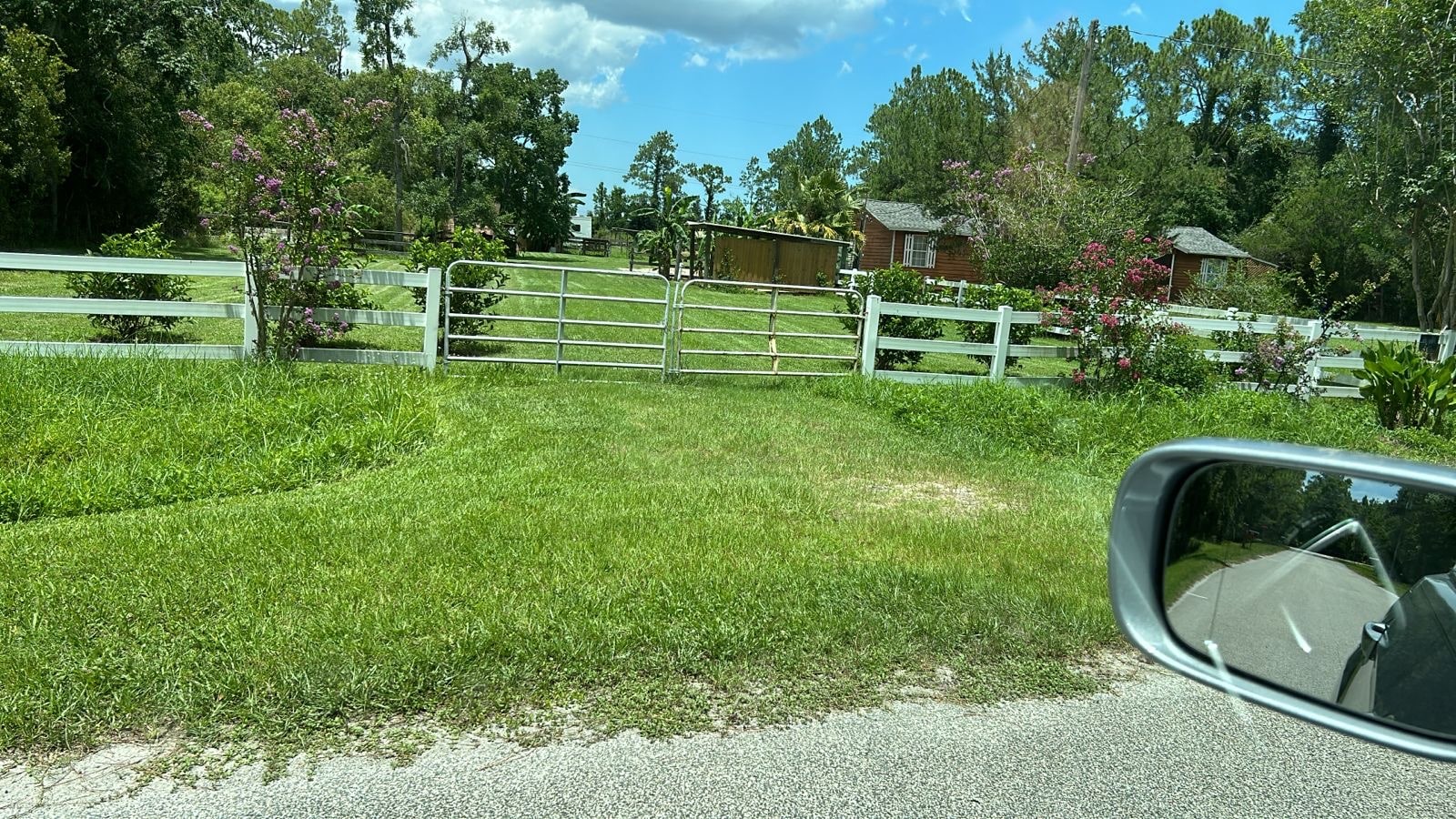 Molasses Junction Stables
