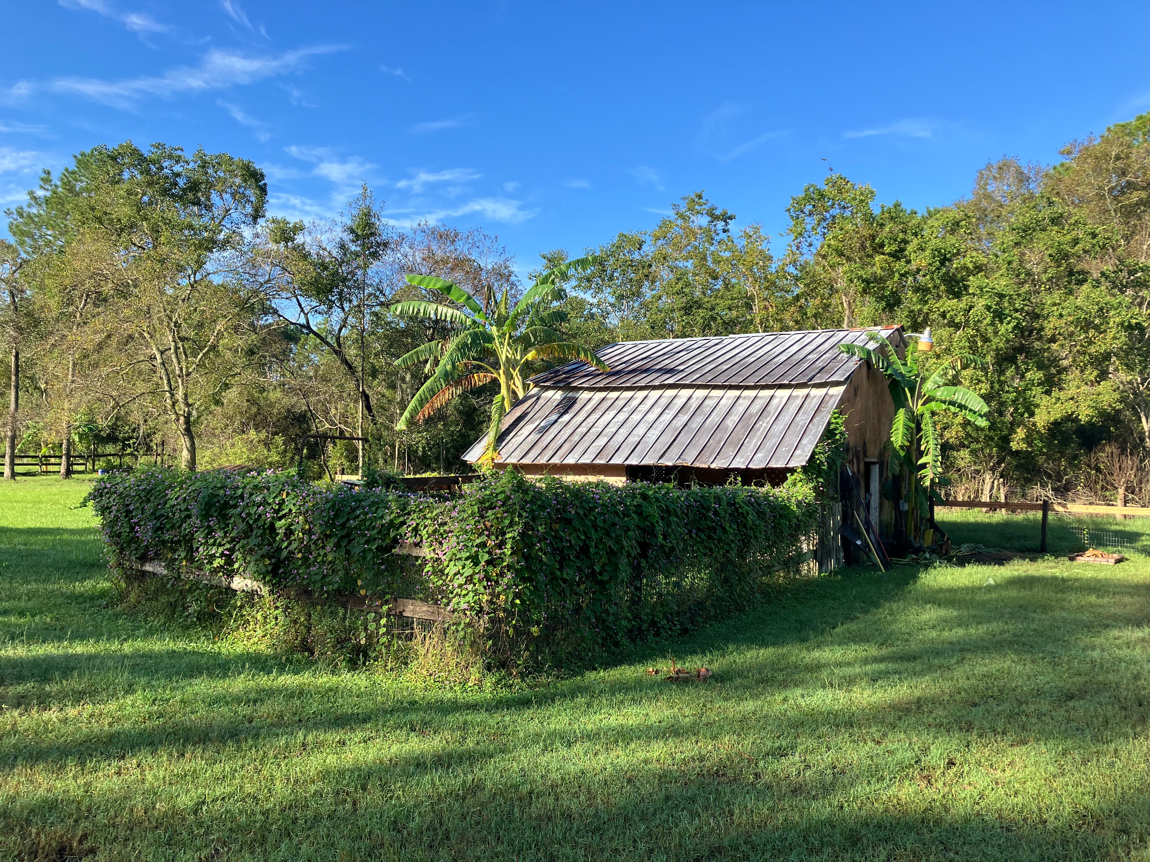 Molasses Junction Stables