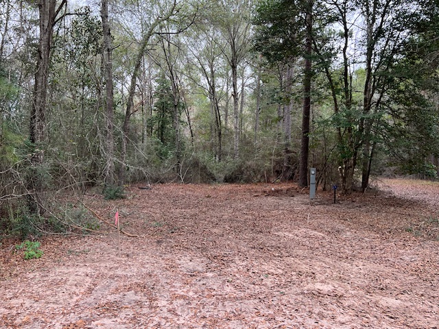 Zavalla Wooded Privacy