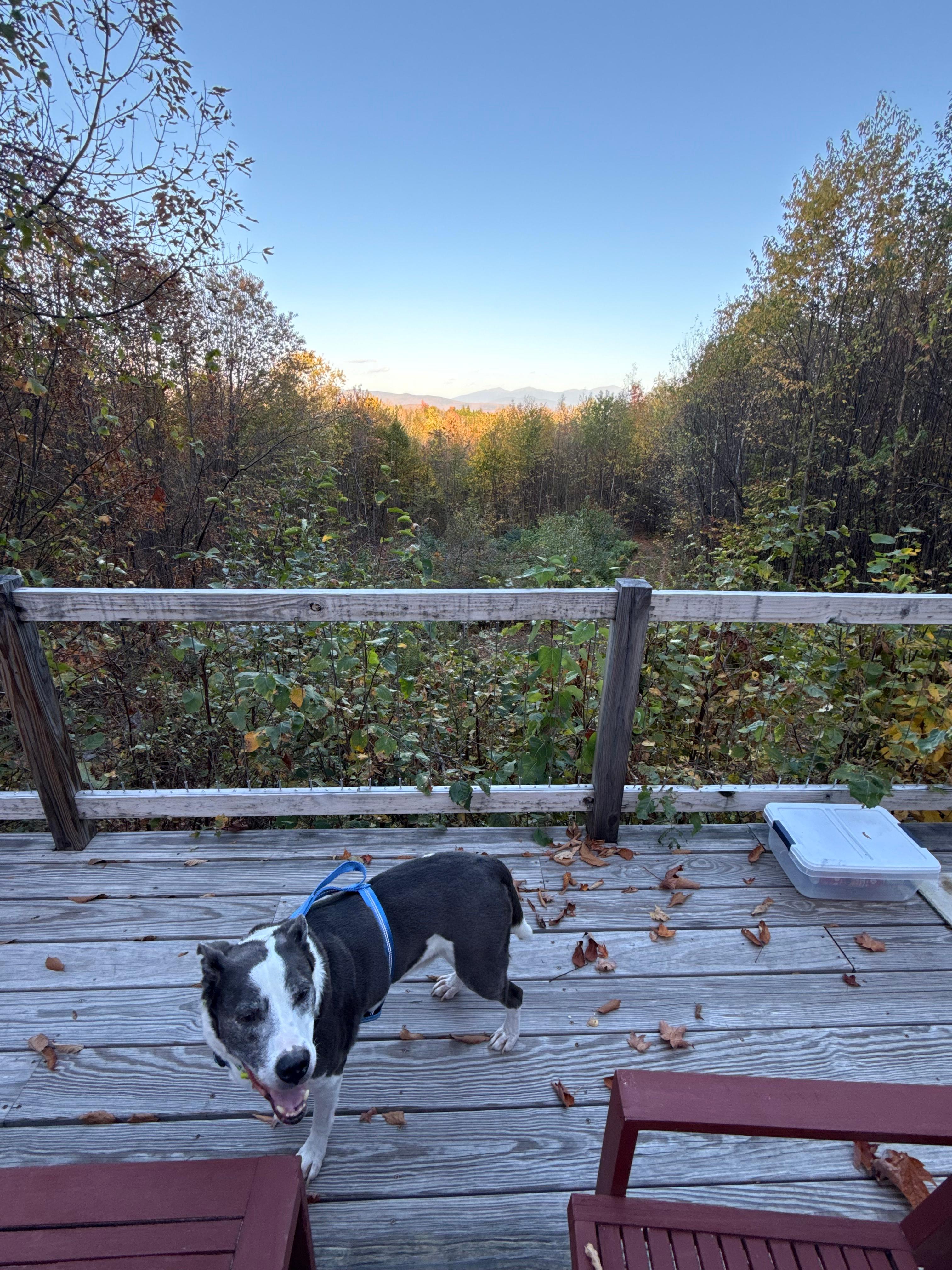 Luxury glamping on Mt. Aggasiz