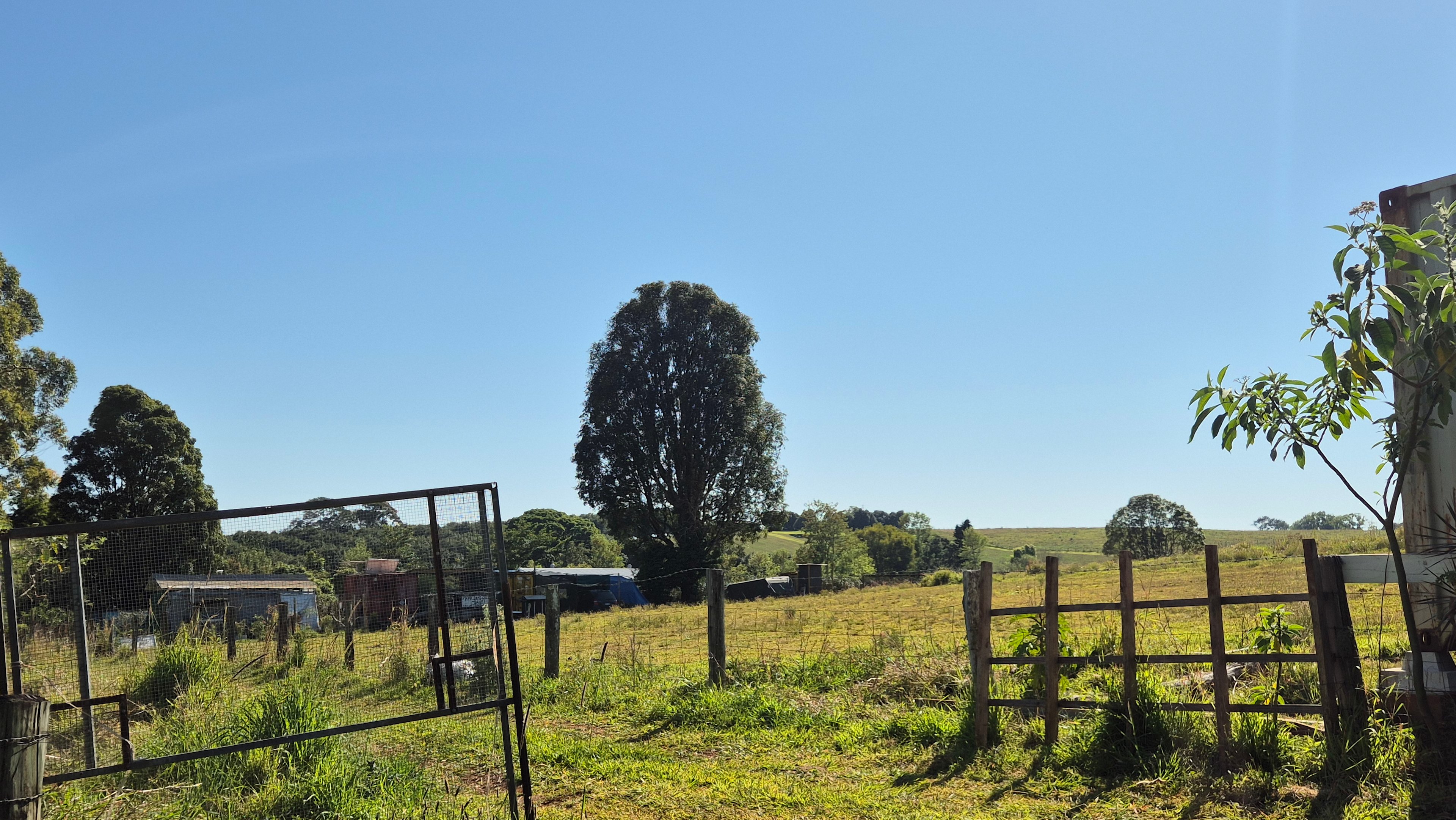 Villa Verde Organic Seed Farm