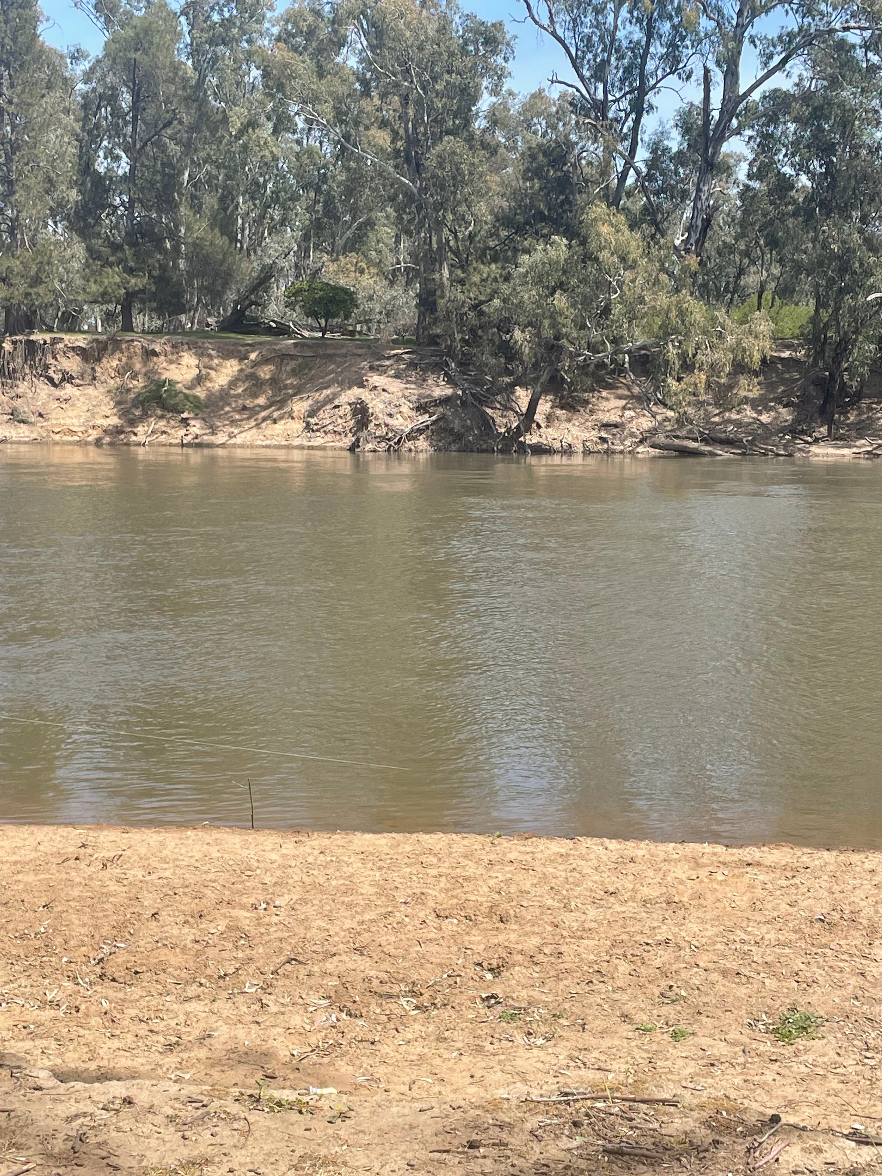 Palm Cove On The Murrumbidgee