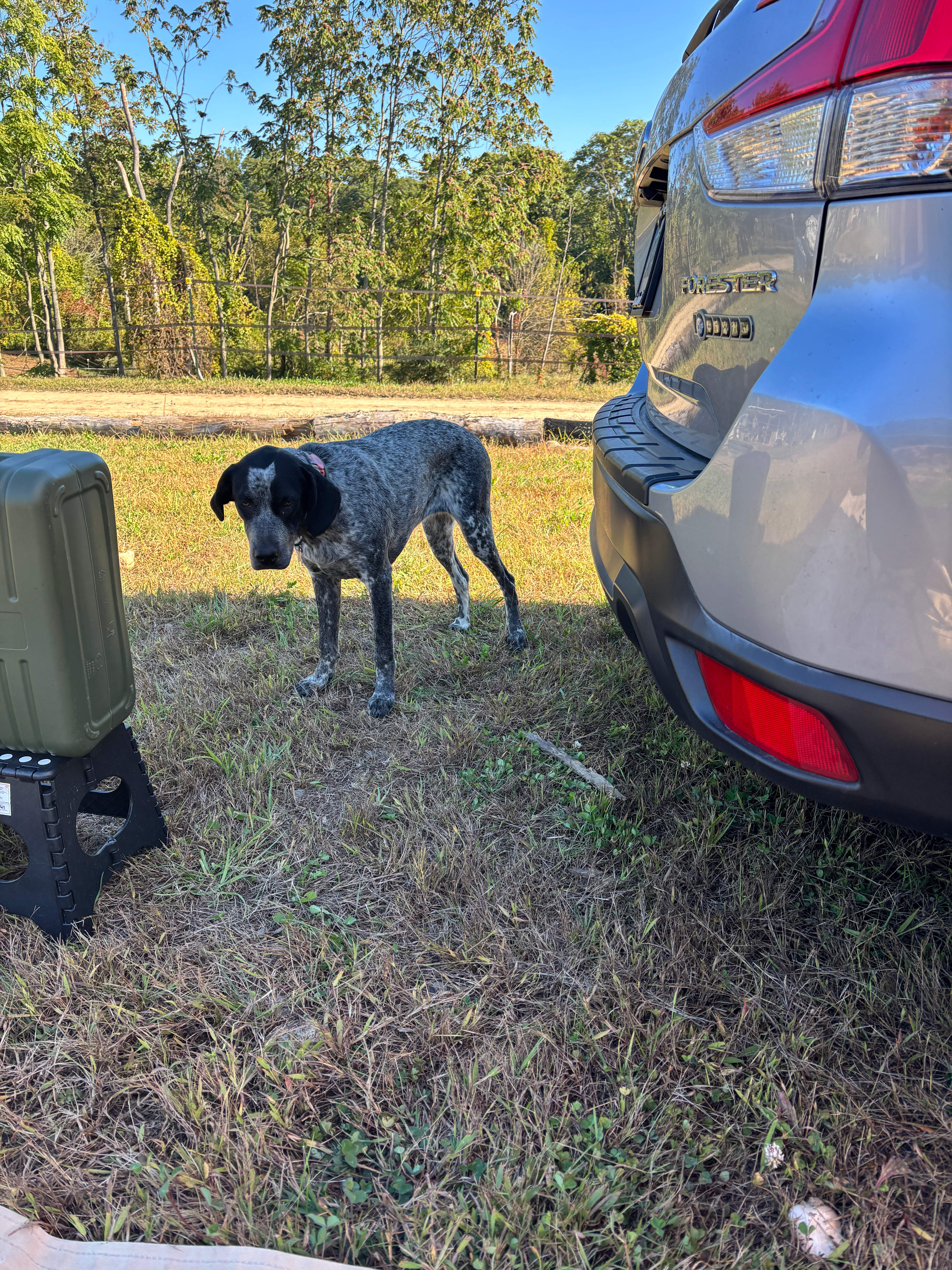 Liberty Farm On Turkey Hill