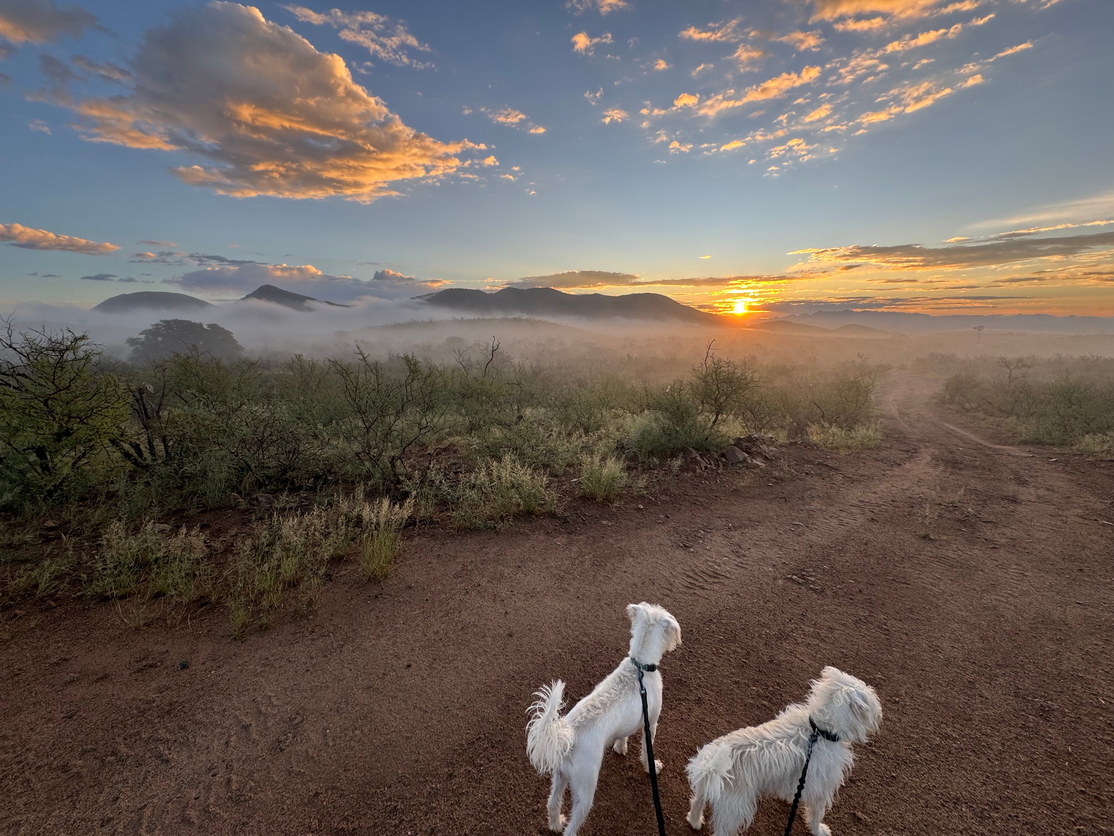Sunrise view early fall