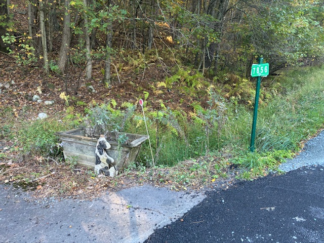 The property sign 7856 NY97 as you head South on NY97 just past the Pump House. The cow should be there unless someone moves it. 