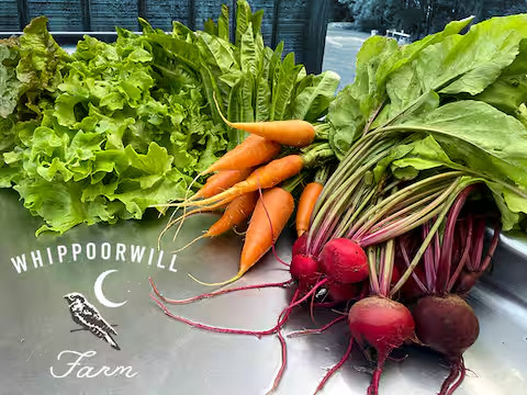 Forest & Farm Camping Retreat