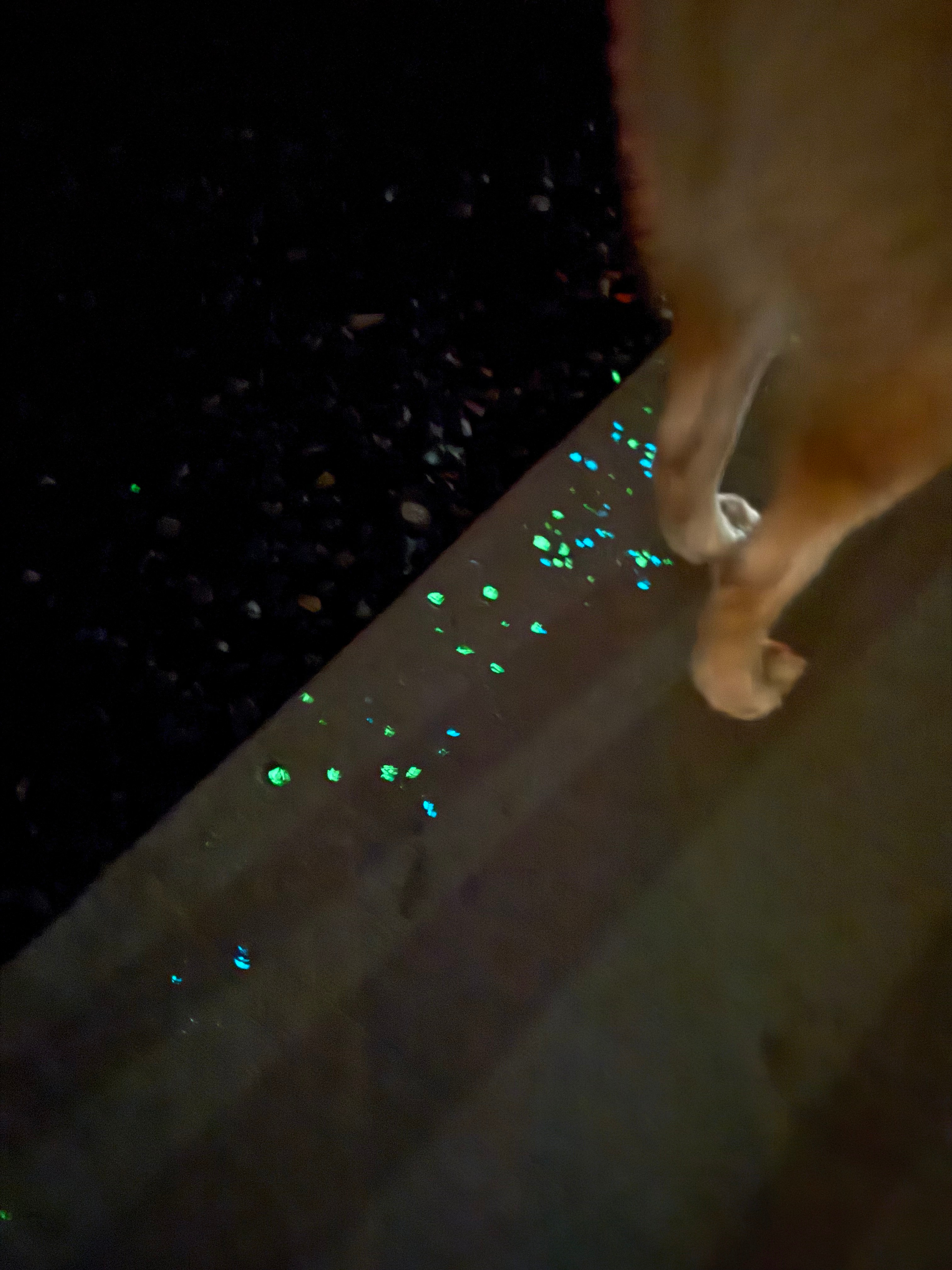 Loved the glow in the dark chips in the sidewalk so much!! 