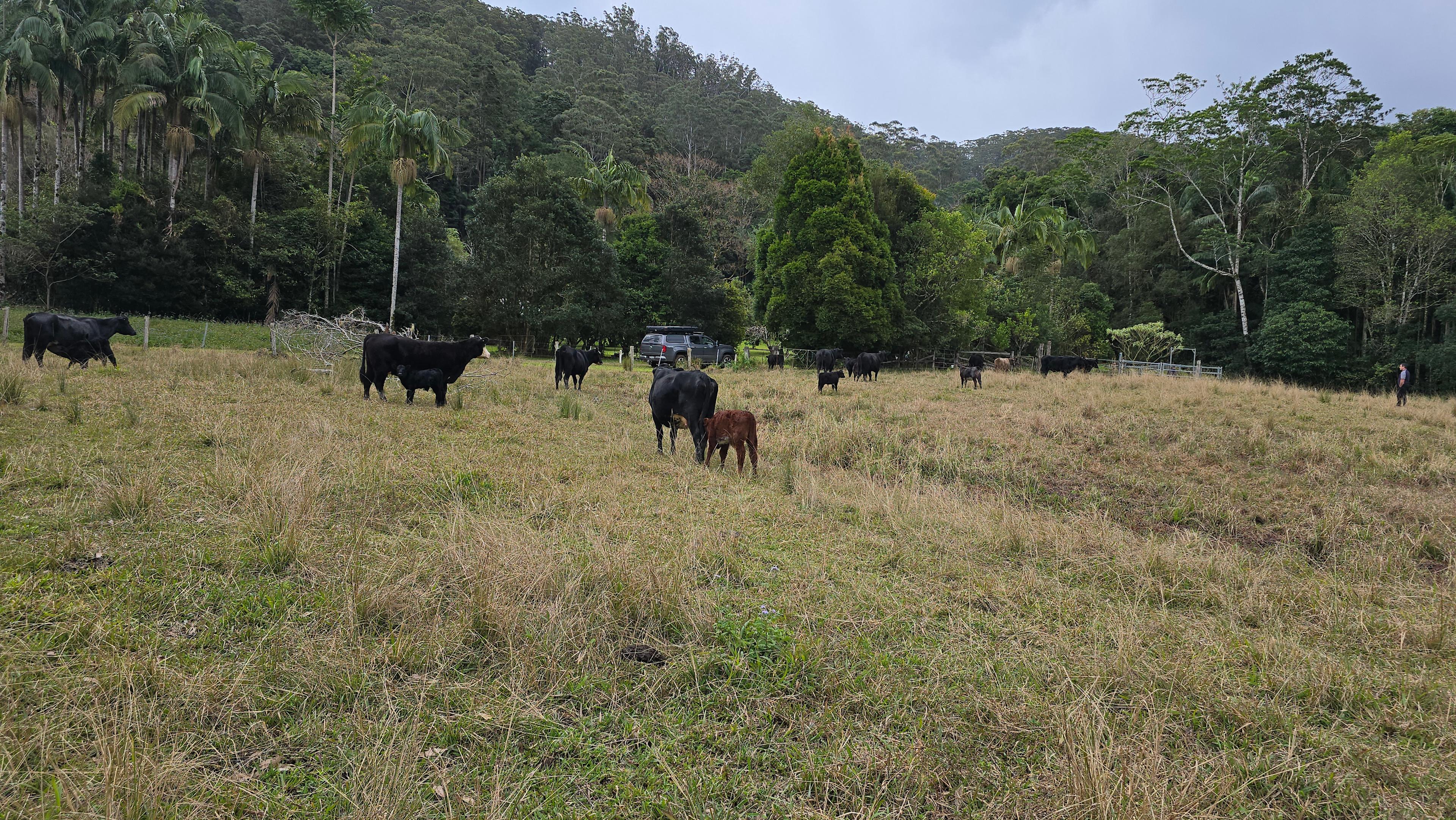 Protesters Falls Farm Retreat