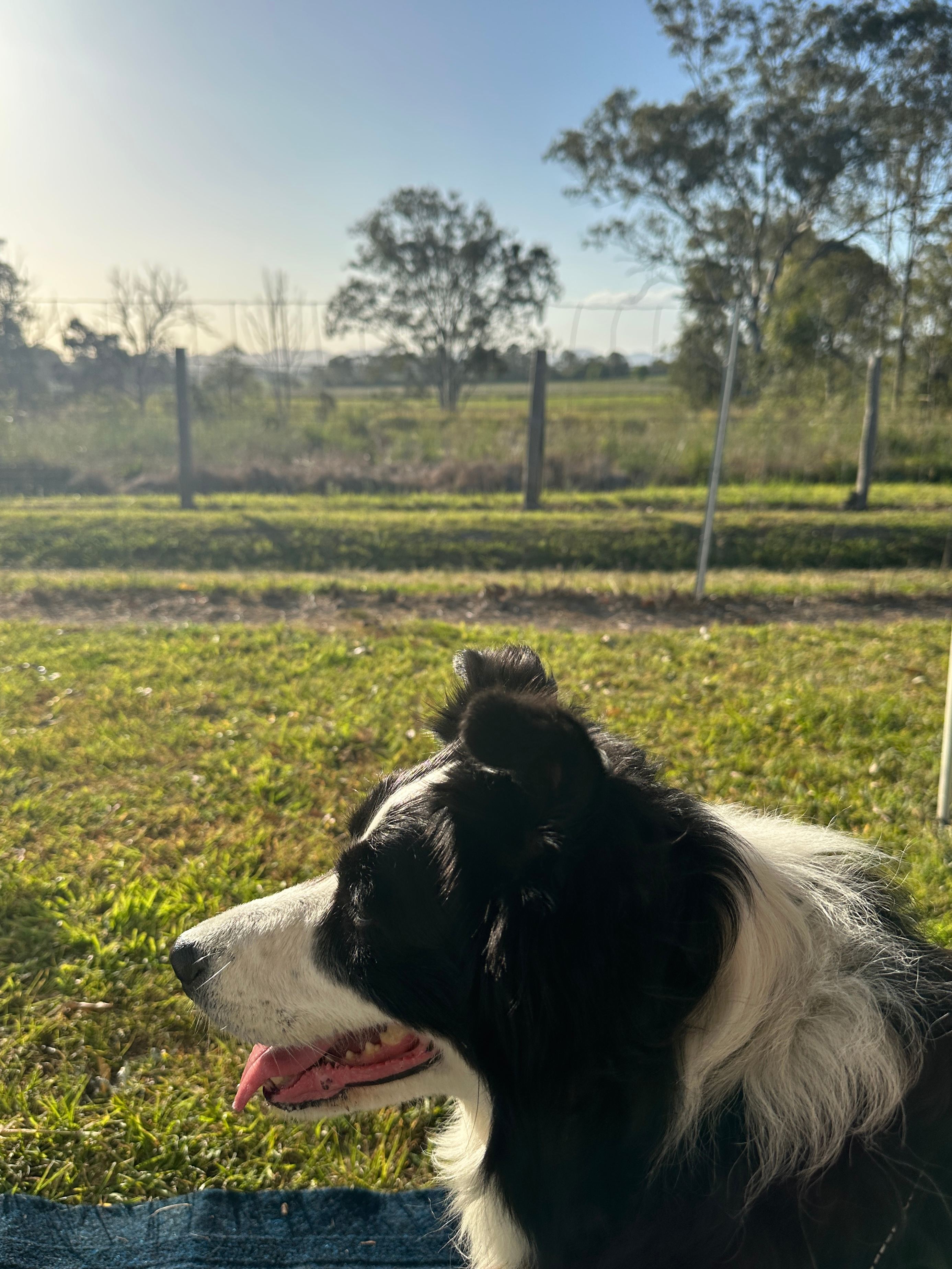 Bellwood Homestead Campground