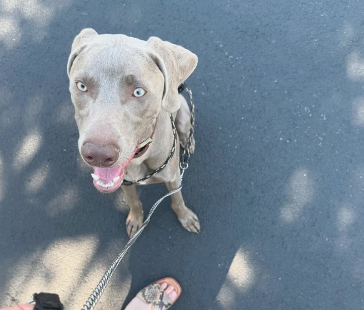 Sienna Ridge RV Park