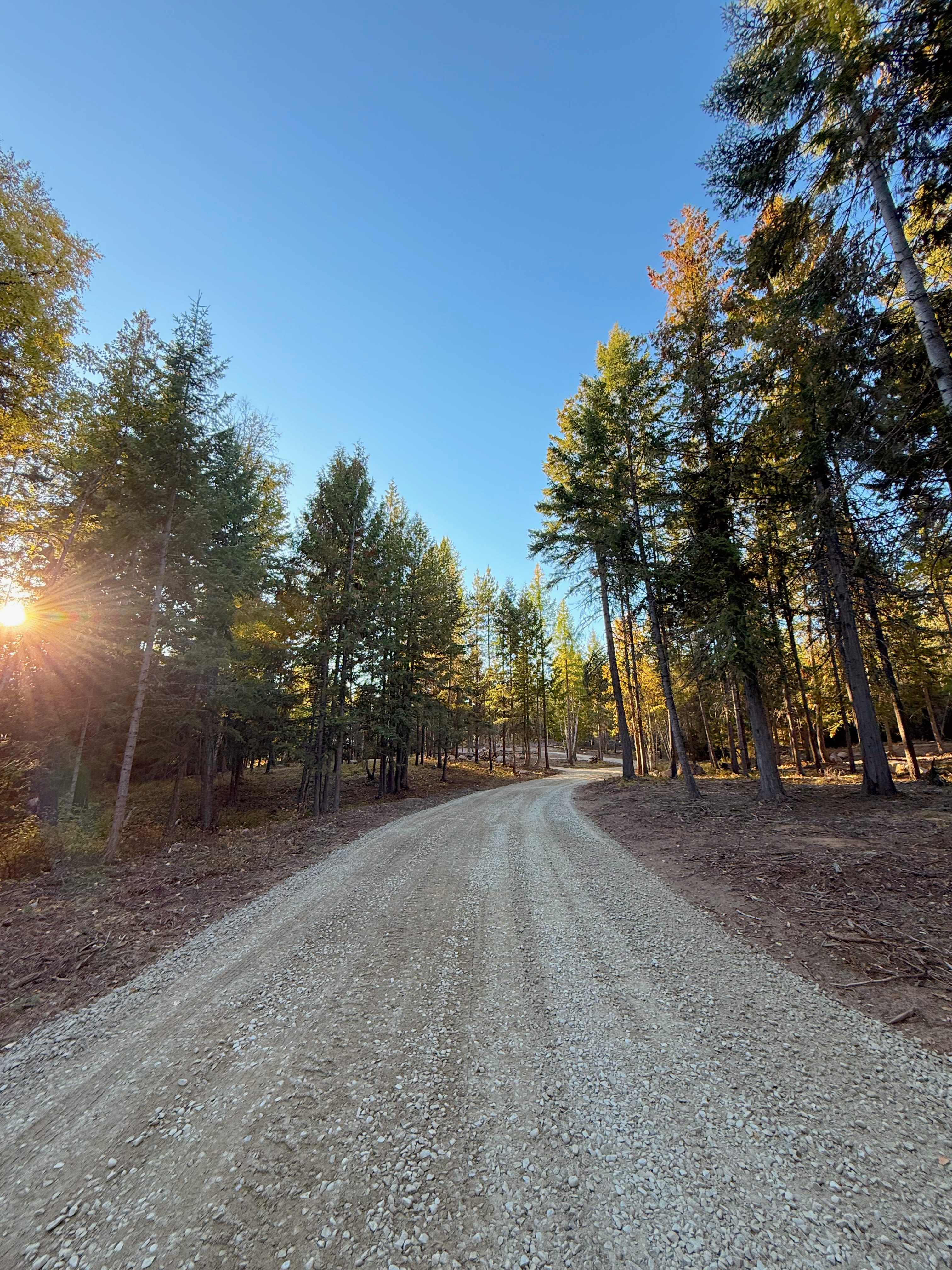 Northern Pines Retreat