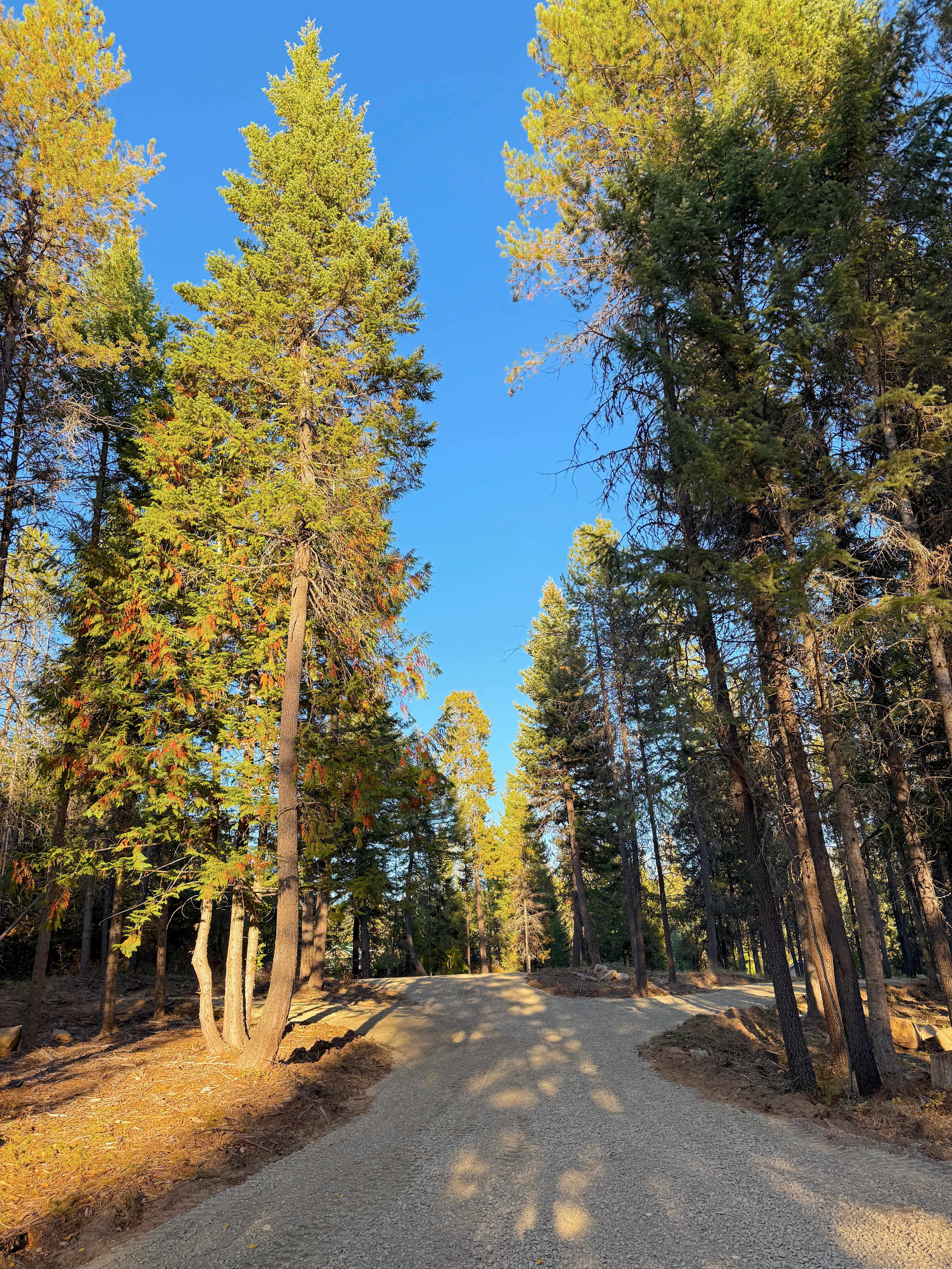 Northern Pines Retreat