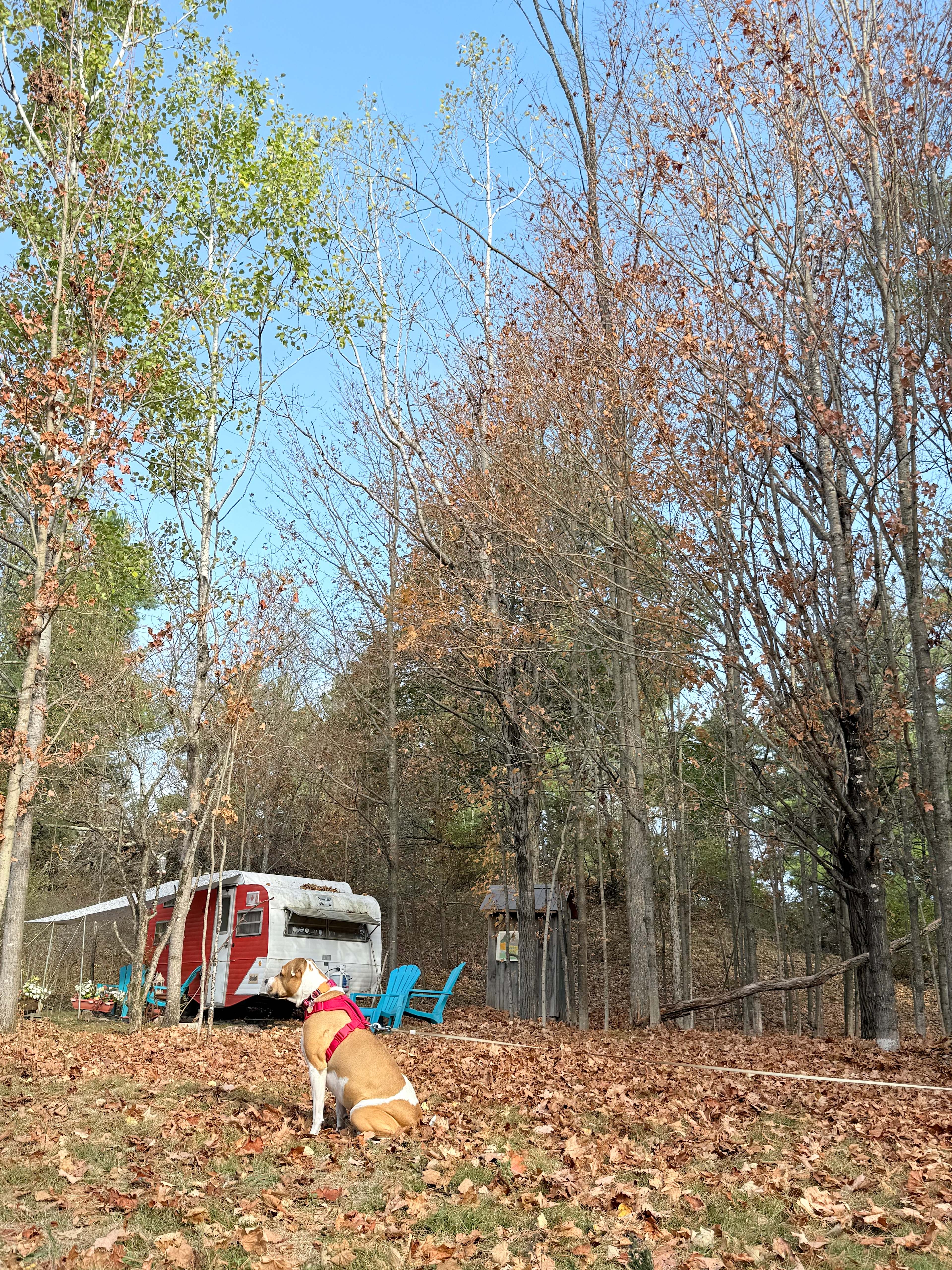 Perth Boho Chic Vintage Caravan