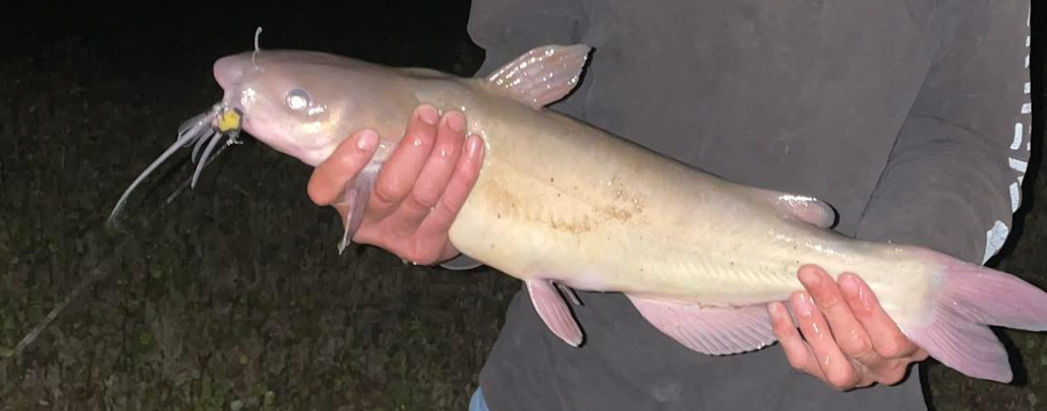 Carter Family Property