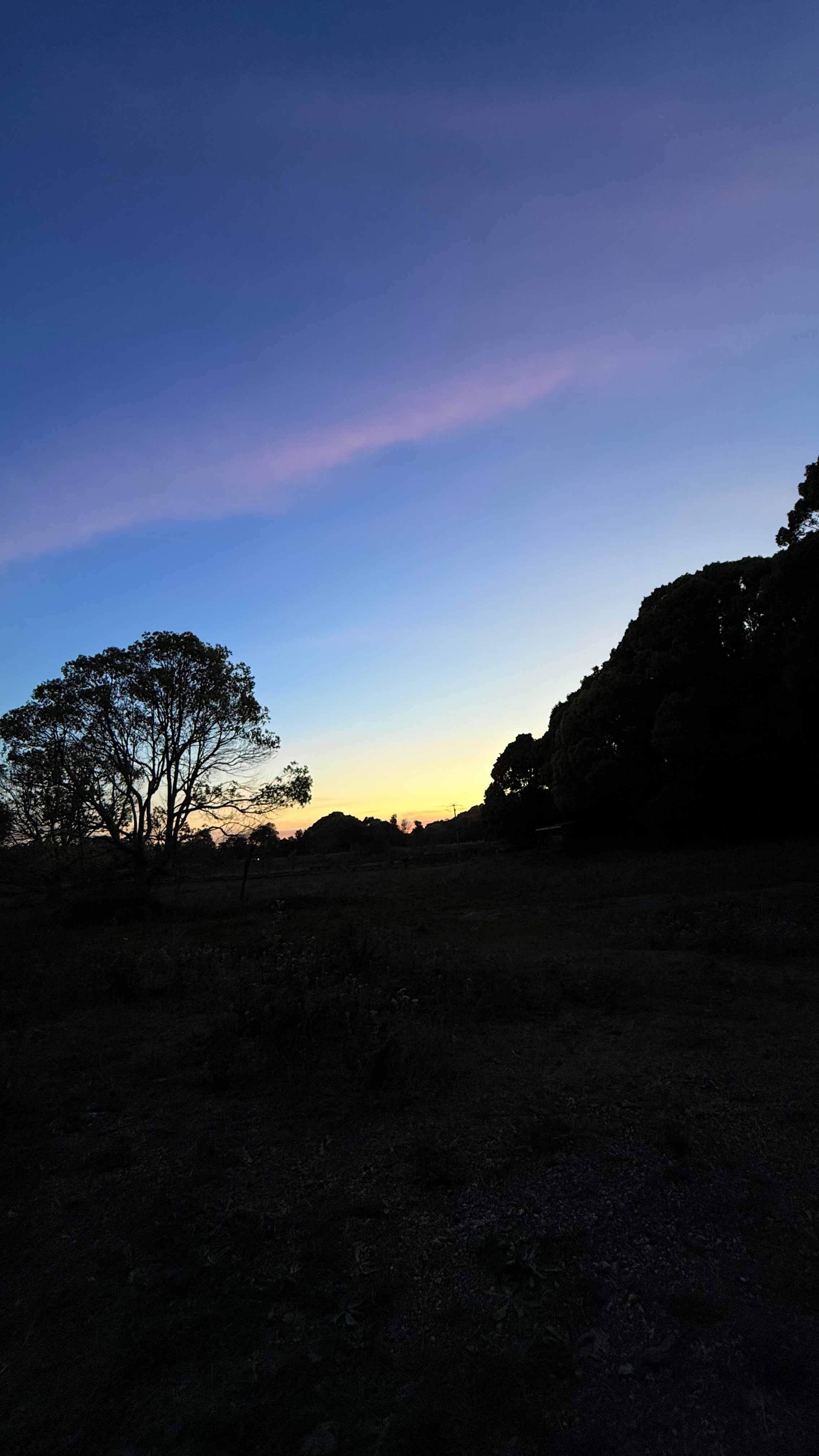 Tiger's Rest Byron Bay