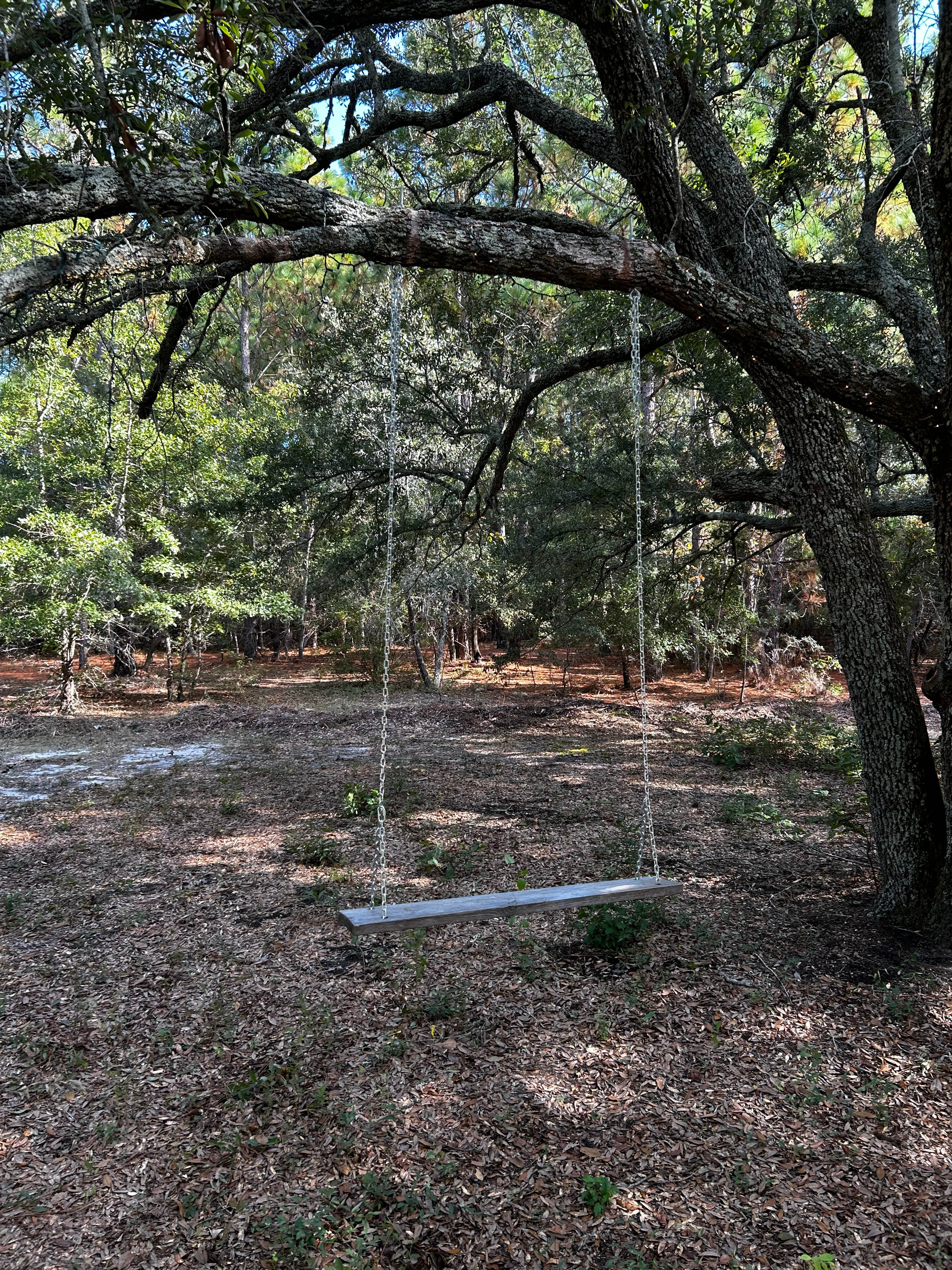 Too Many Oaks Plantation