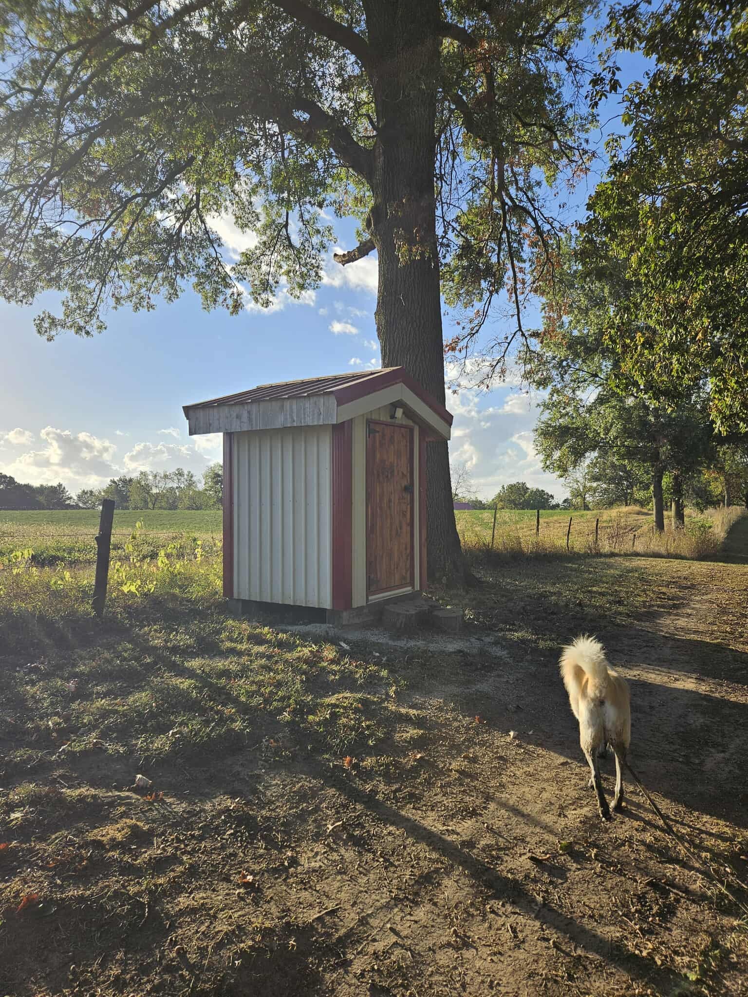The outhouse.  Built for the cabin.