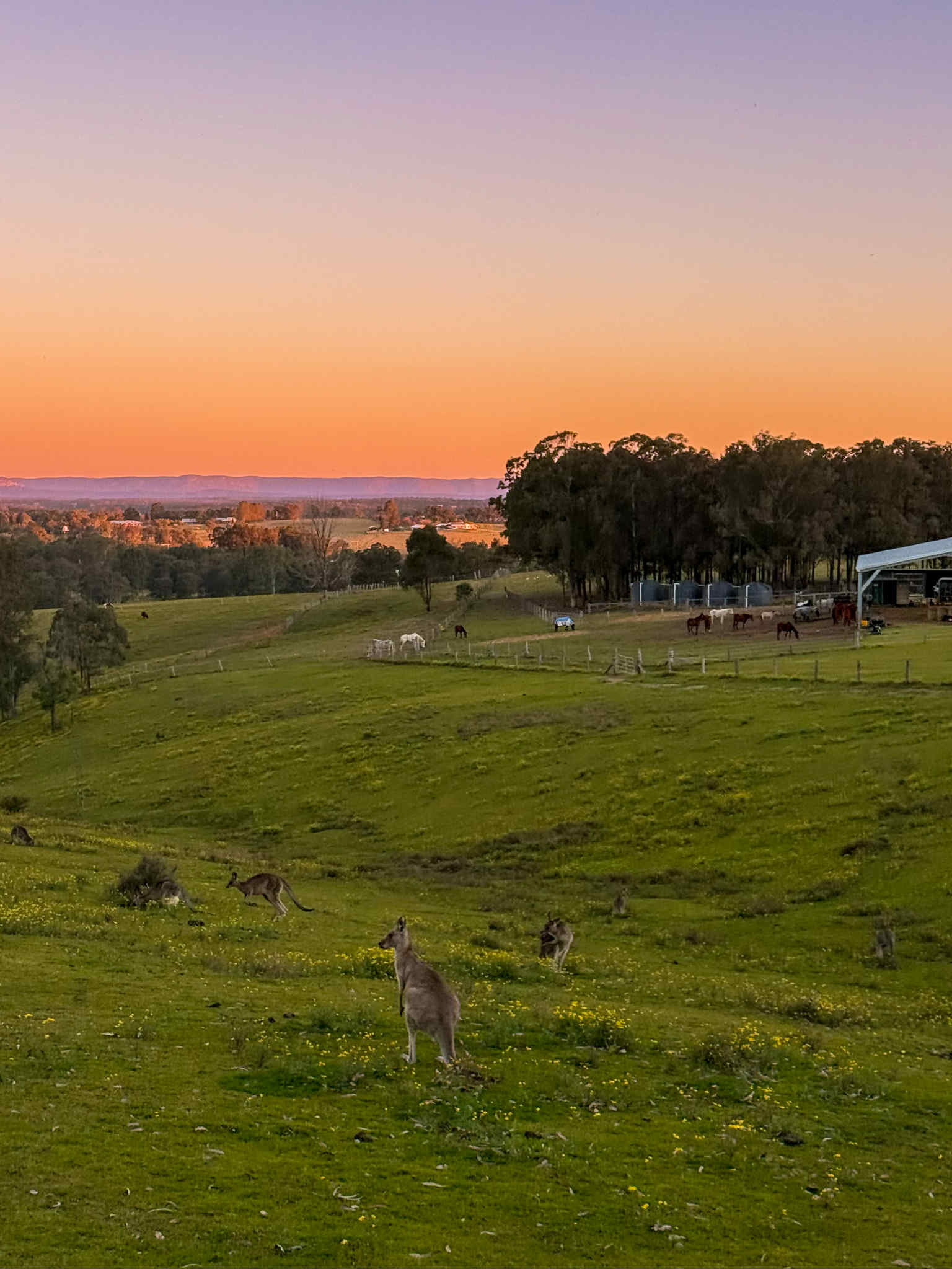 Lovedale Farm Stay