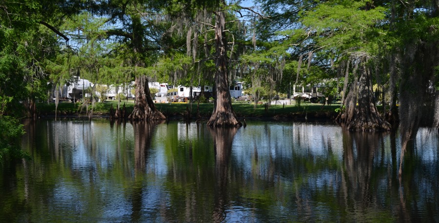 Bayou Wilderness RV Campground
