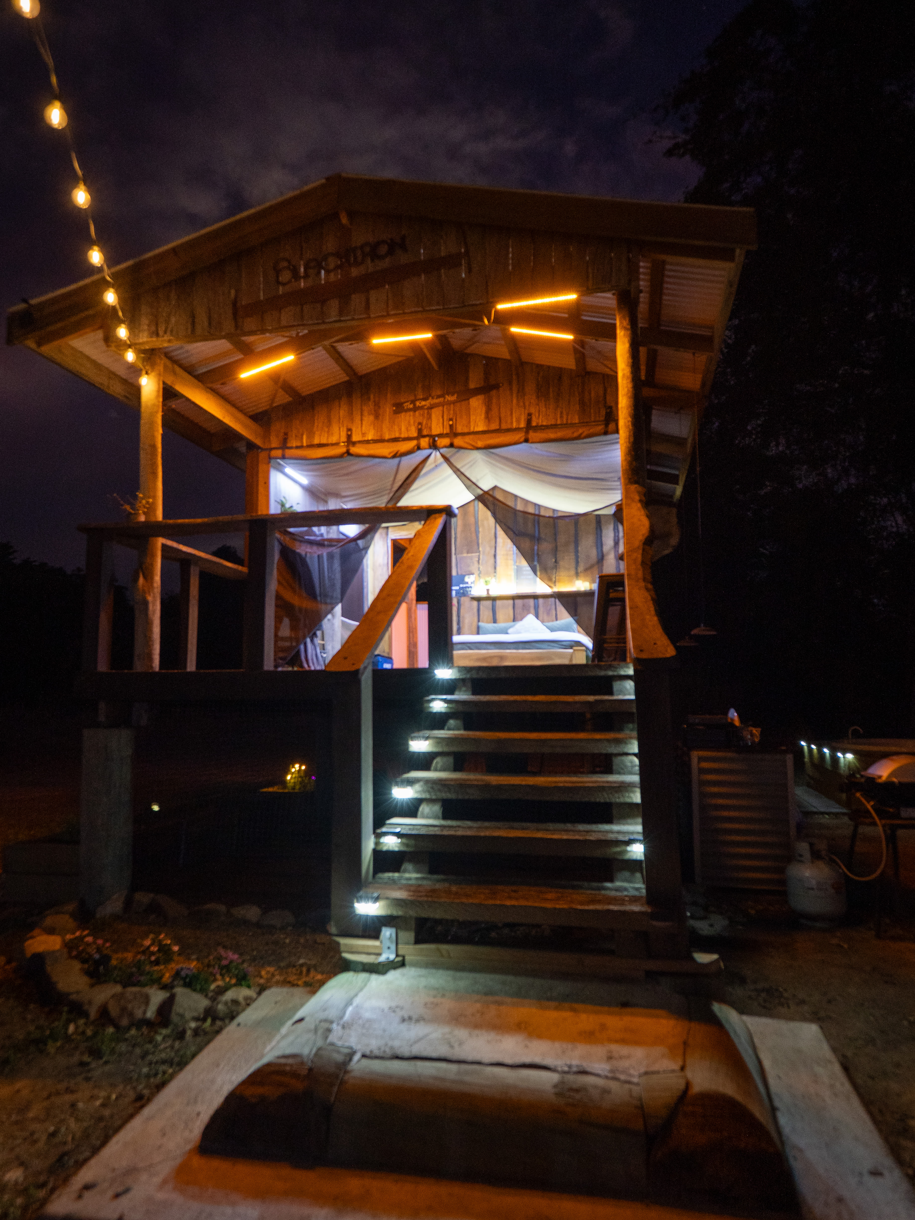 The lights decorating Kingfisher provide a warm ambience 