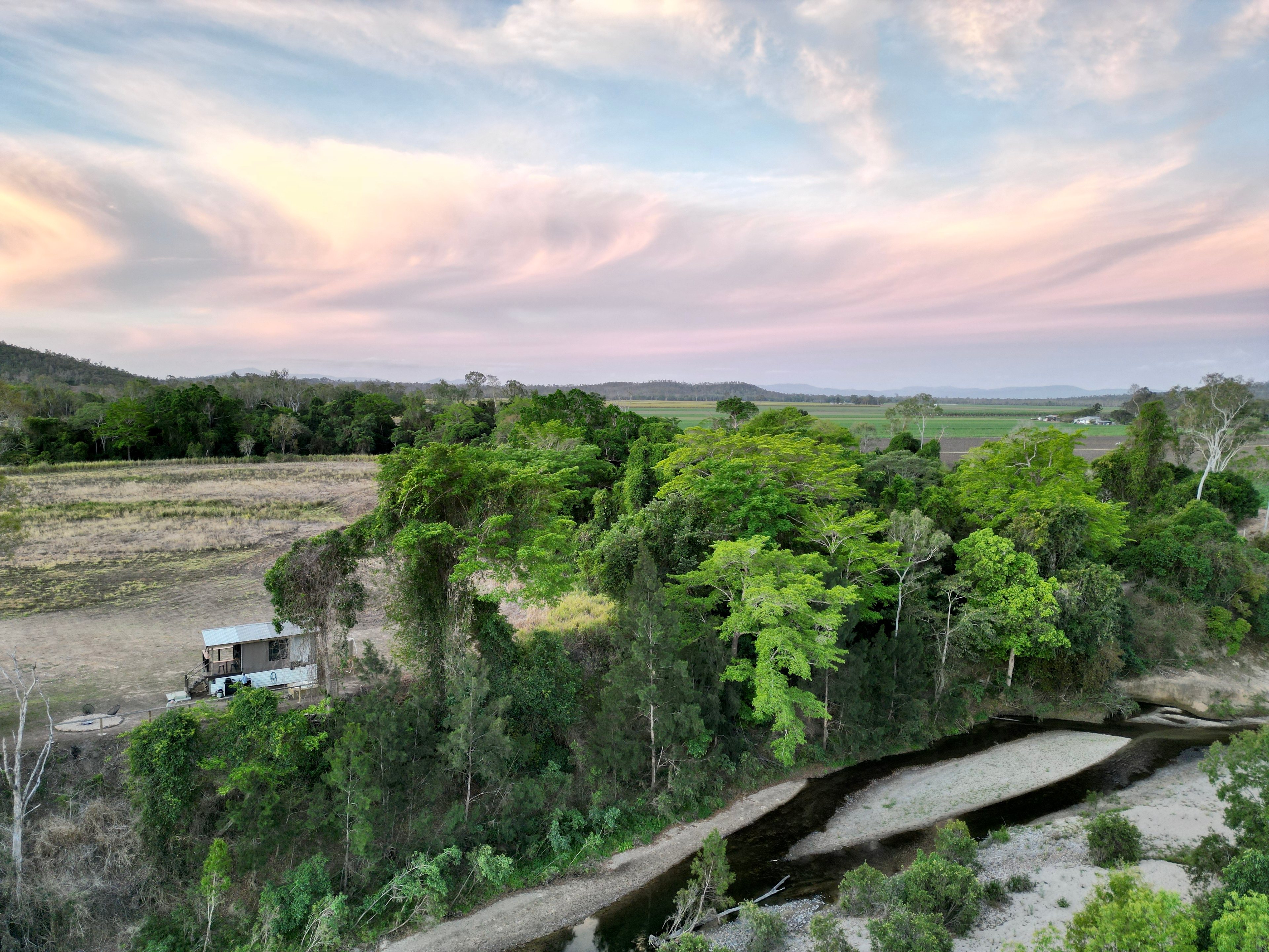Kingfisher above the embarkment