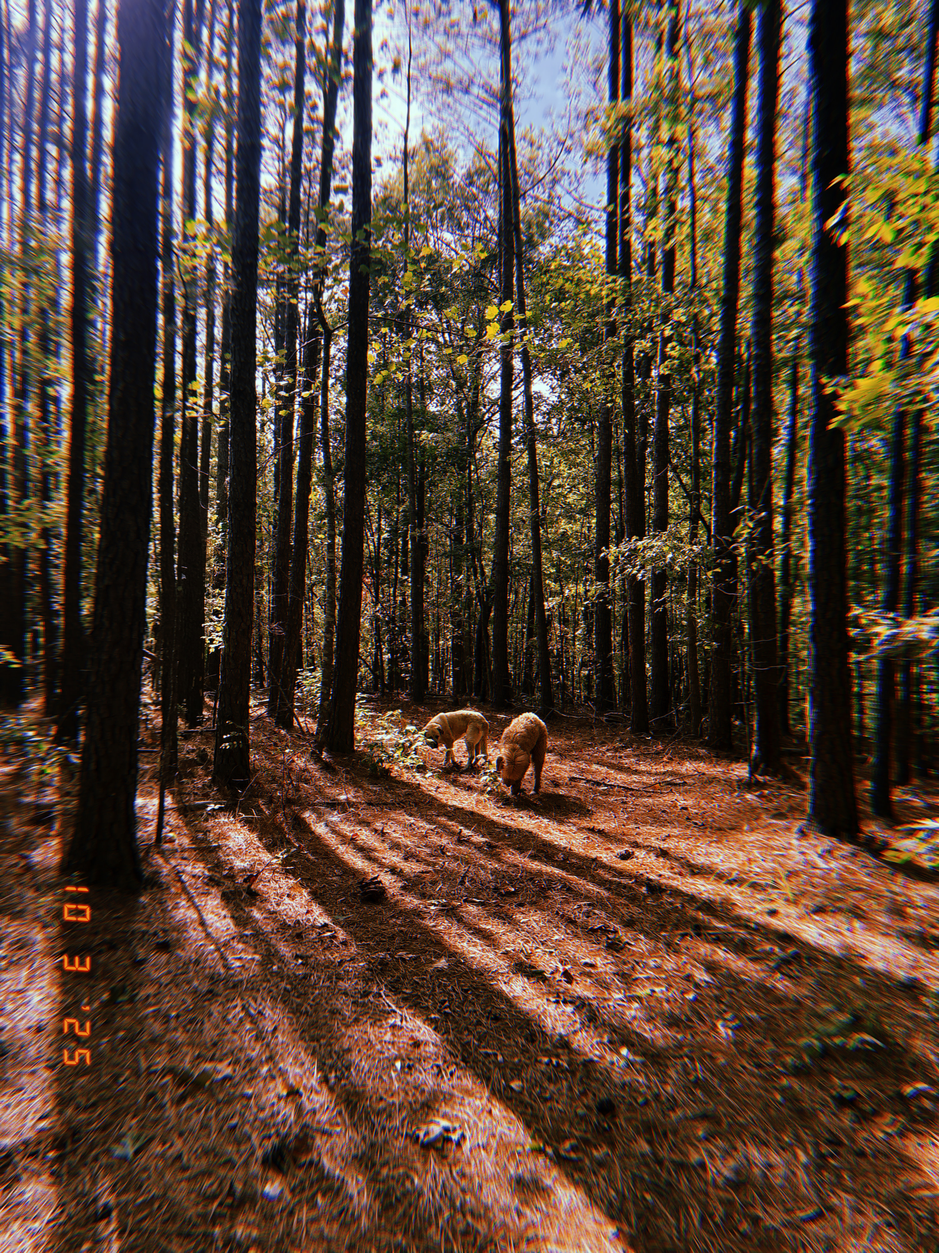 Hidden Branch Campground