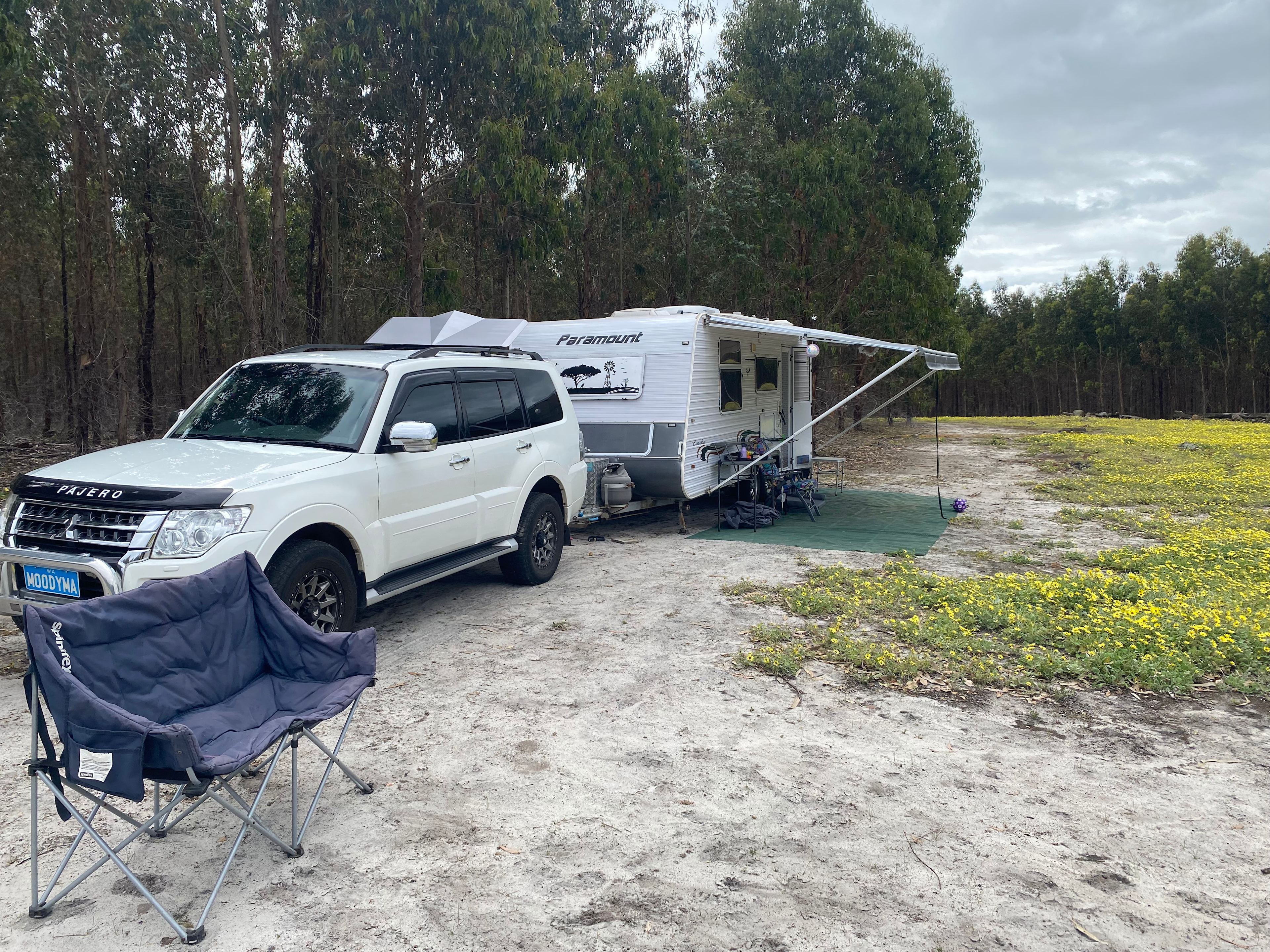 Glad for a bit of cleared area for our site so bees not too bad
