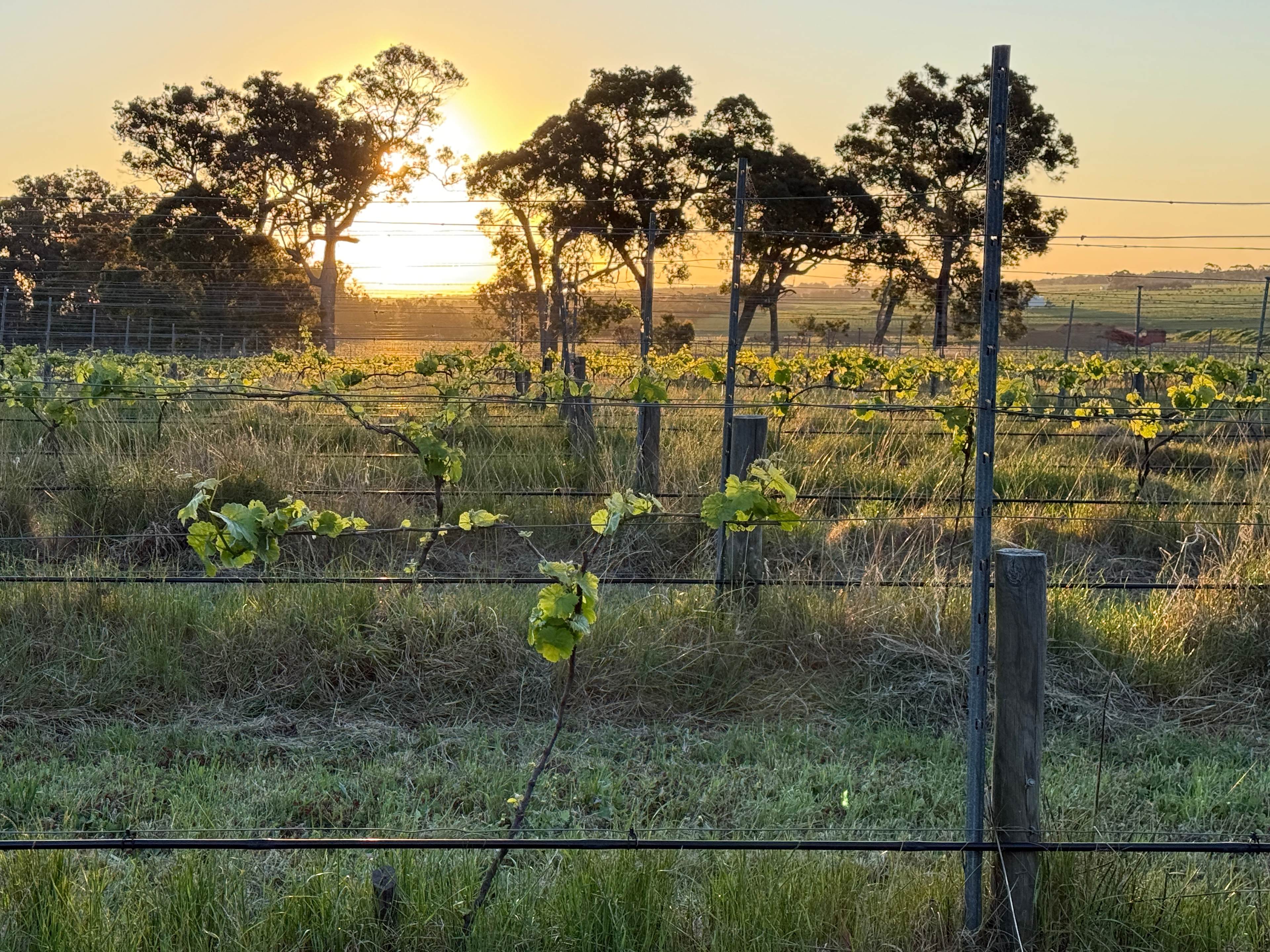 Phillips Brook Estate
