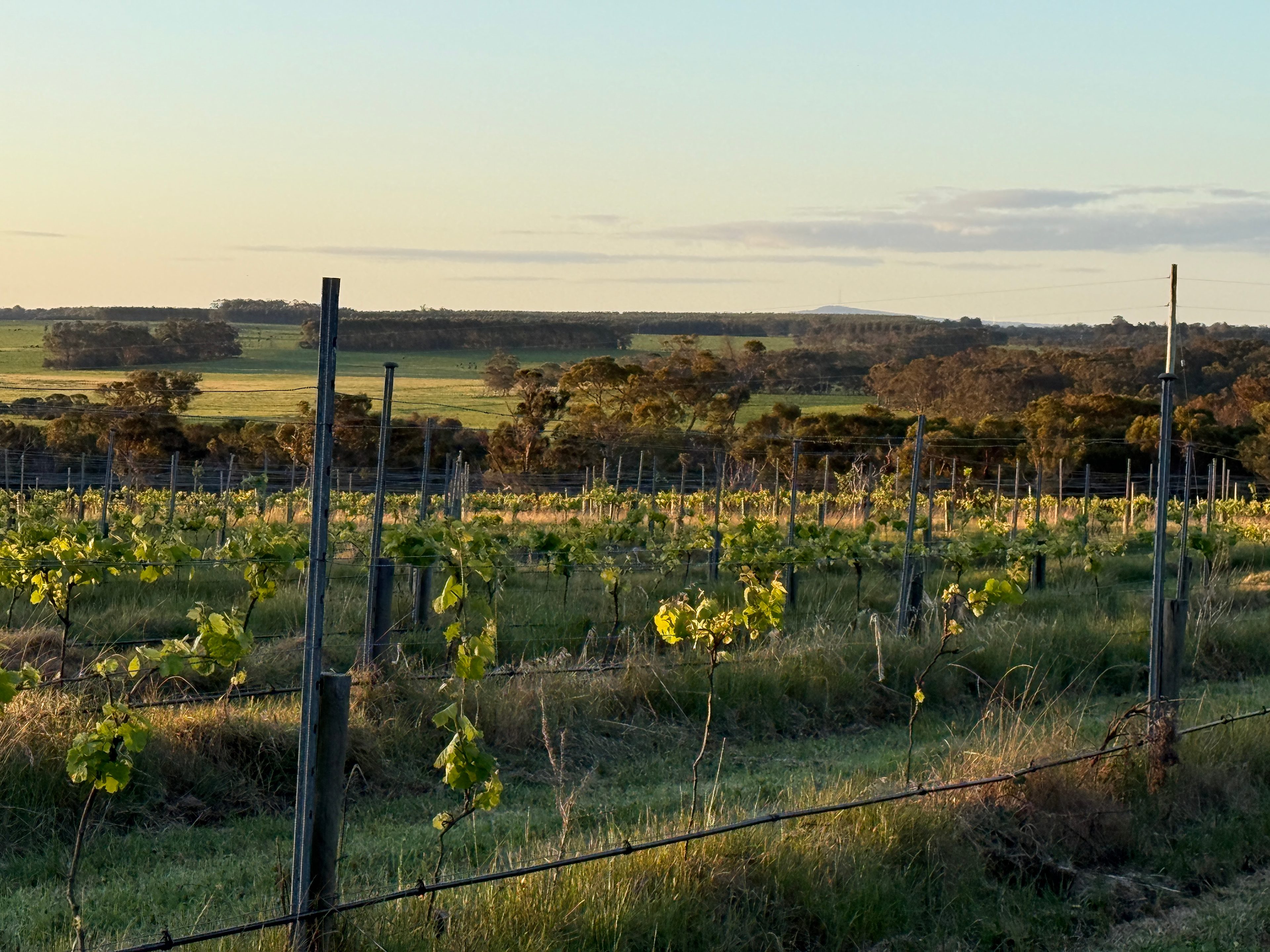 Phillips Brook Estate