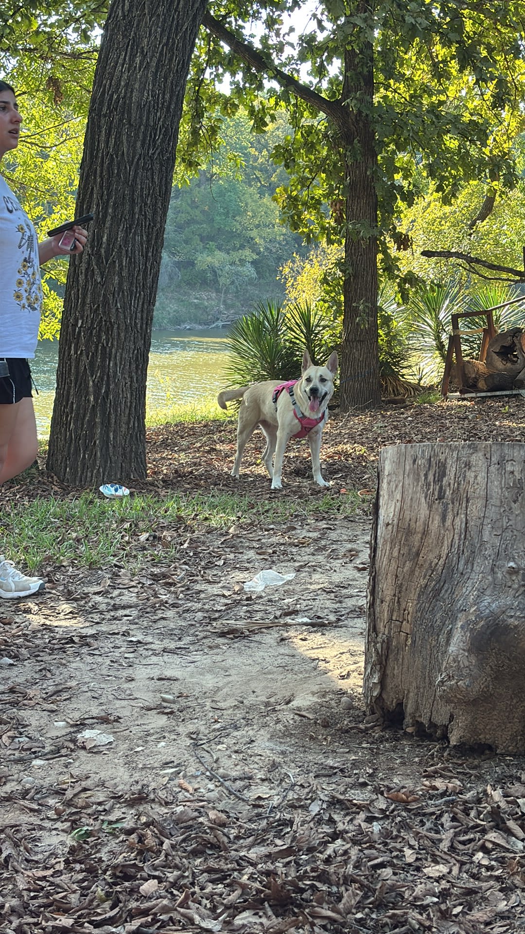 Sandy Bottoms River Company