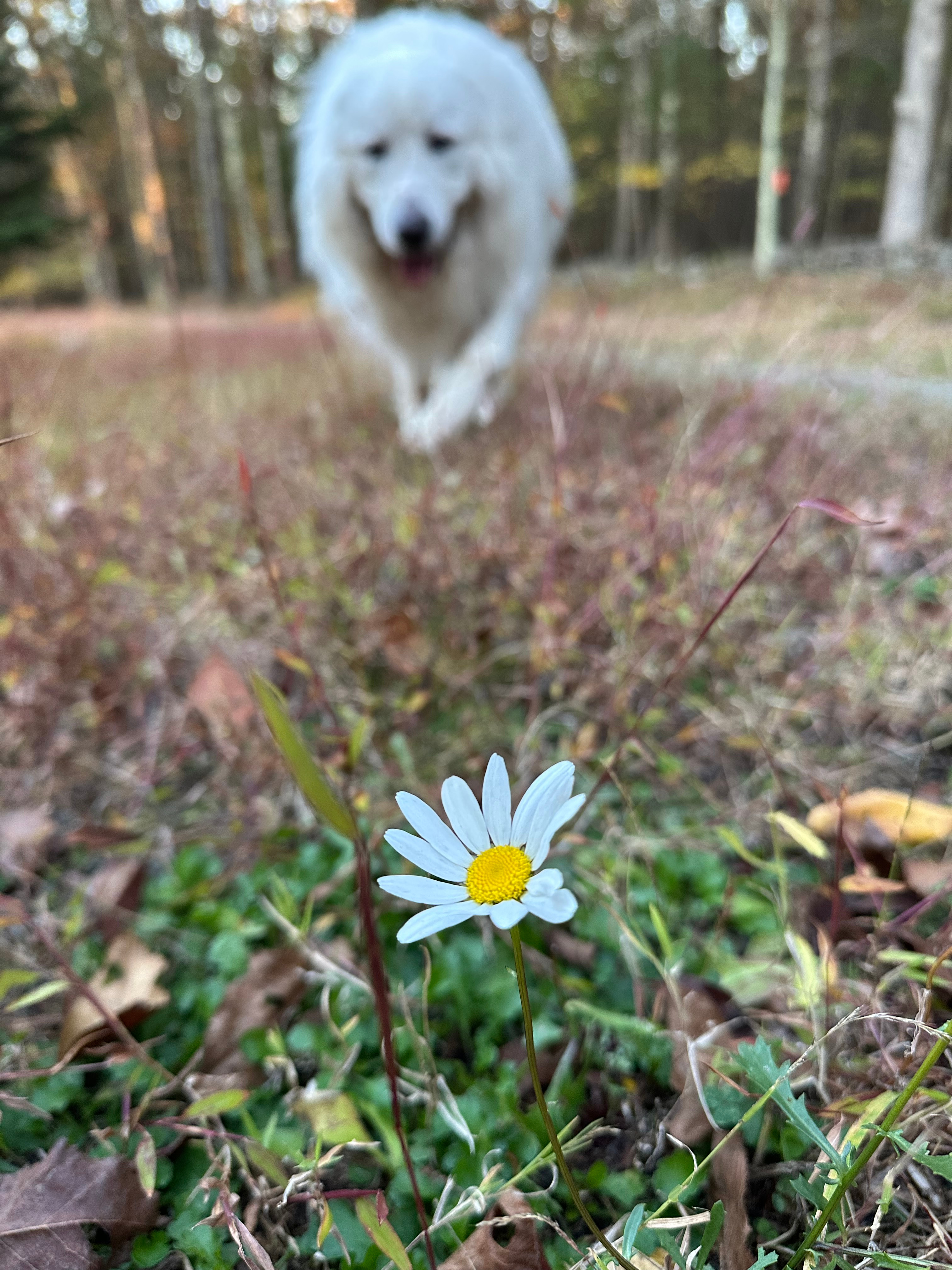 River View RV Private Site