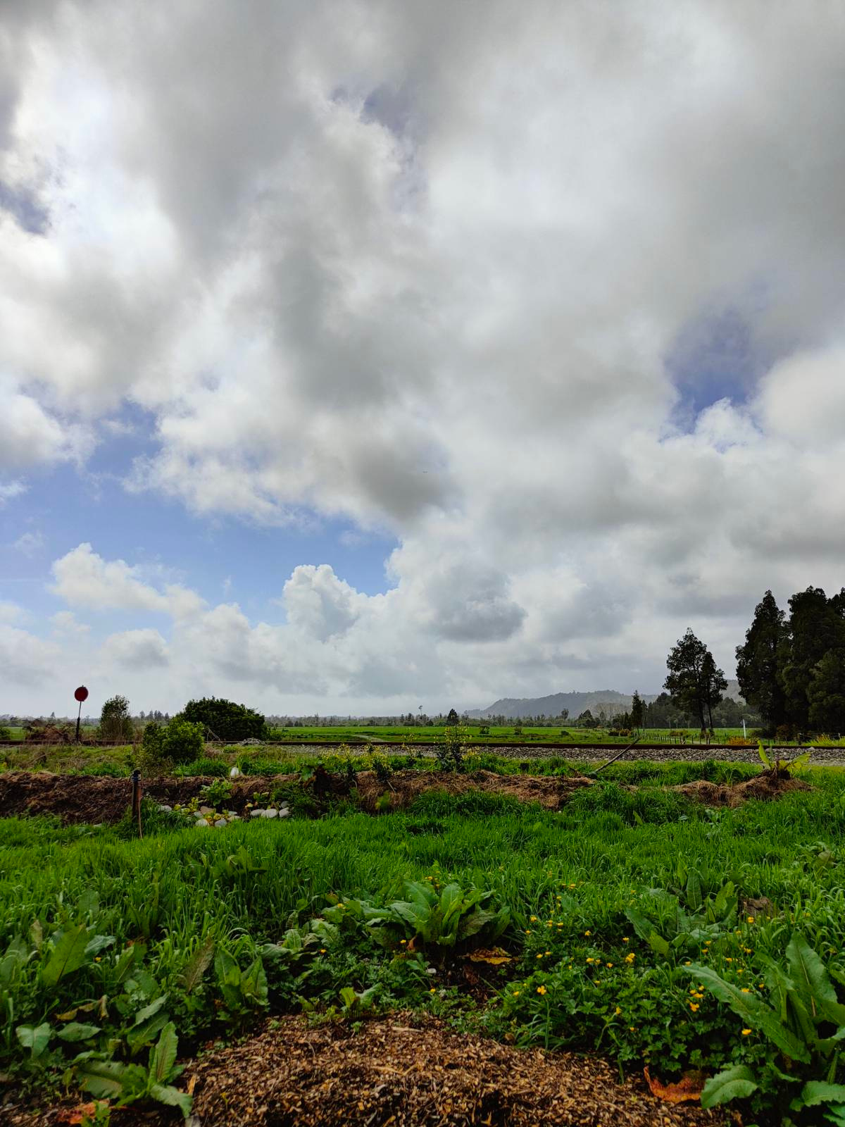 Forest & Bird Sanctuary