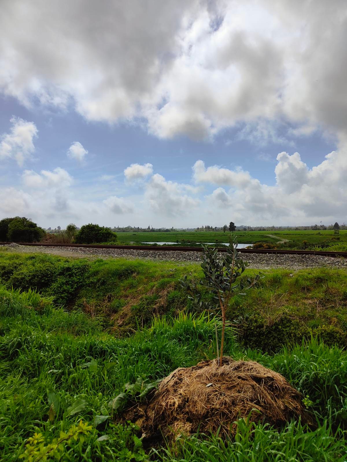 Forest & Bird Sanctuary