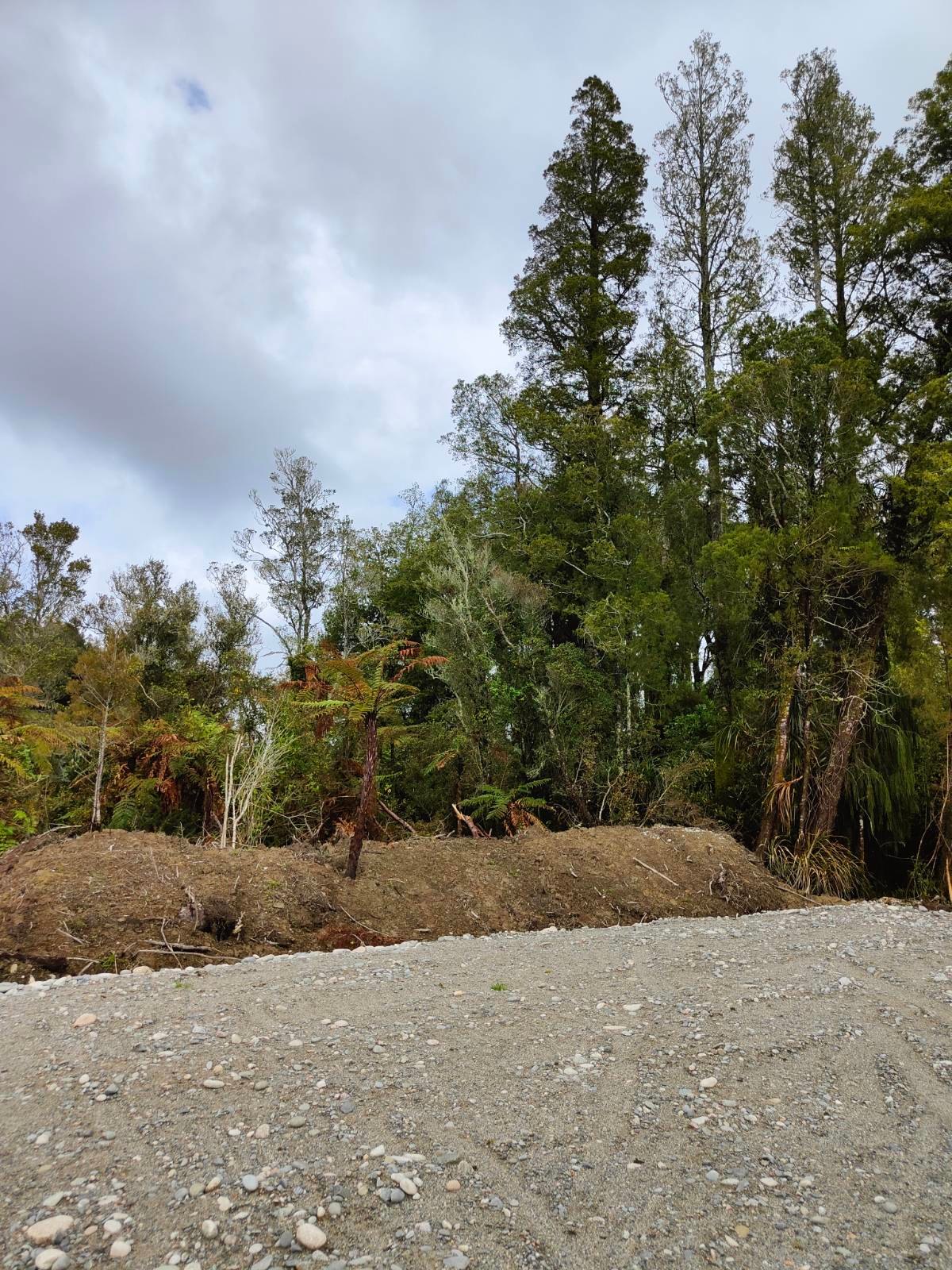 Forest & Bird Sanctuary