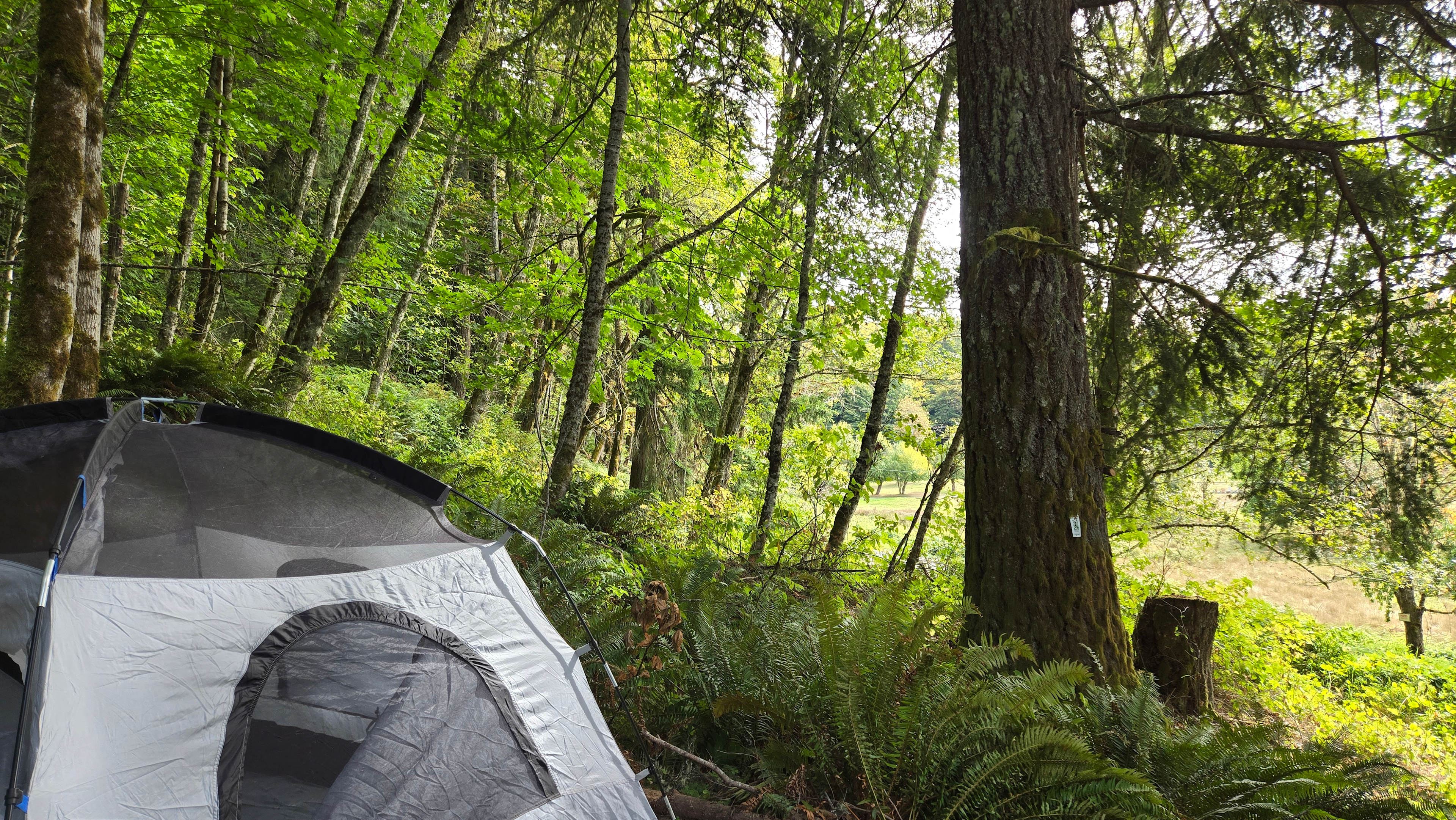 Cascade Mountain Retreat