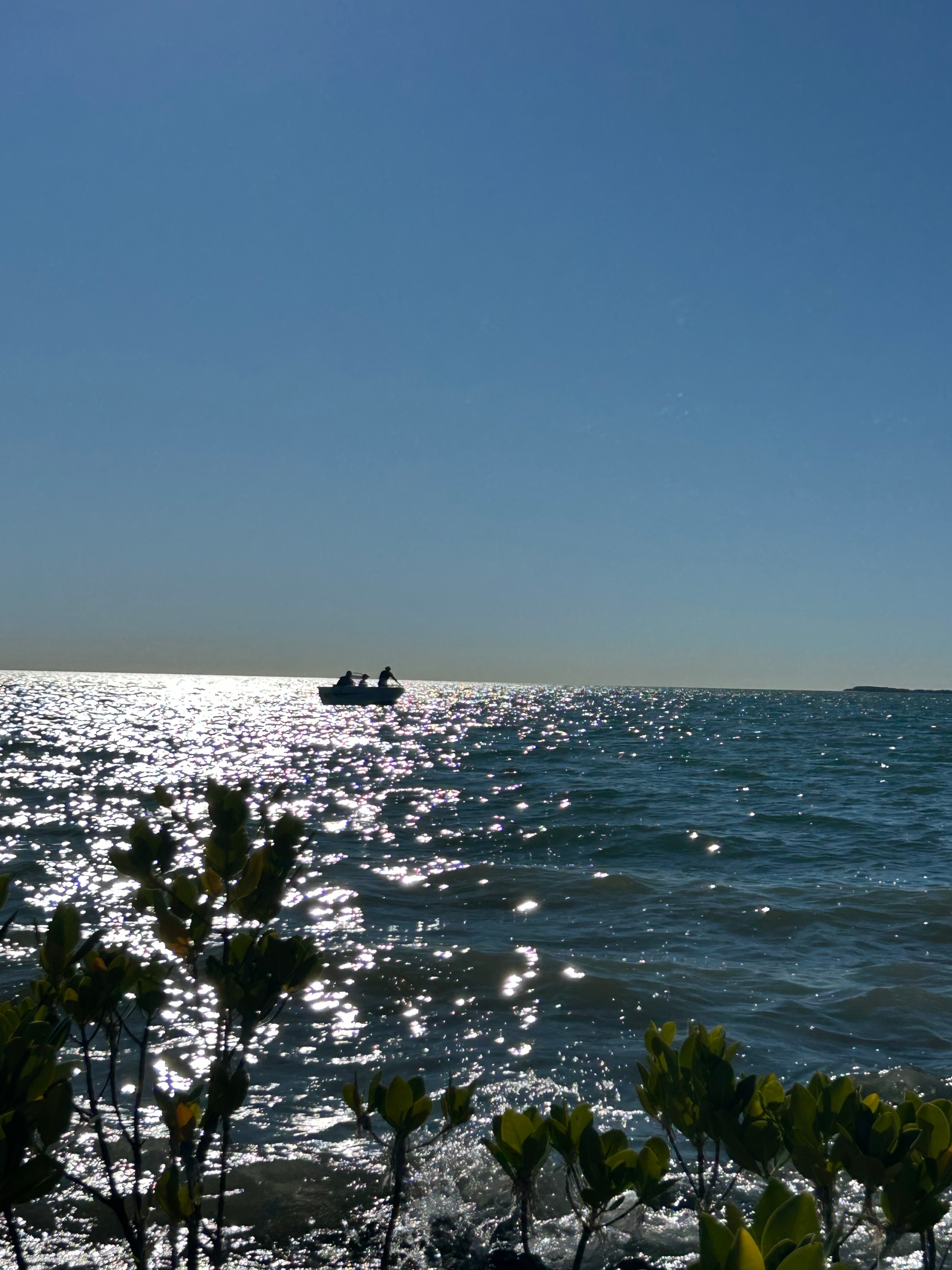 Muddy Bucks on the Bay