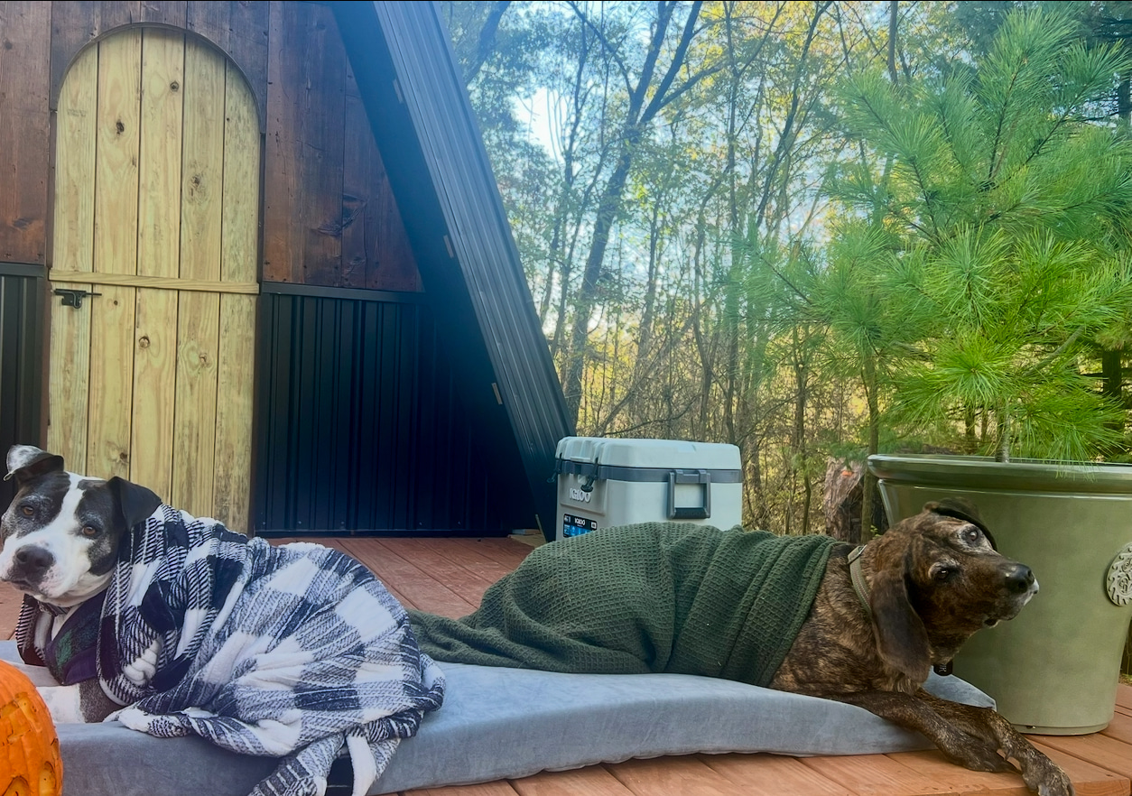 A-frame rustic cabin