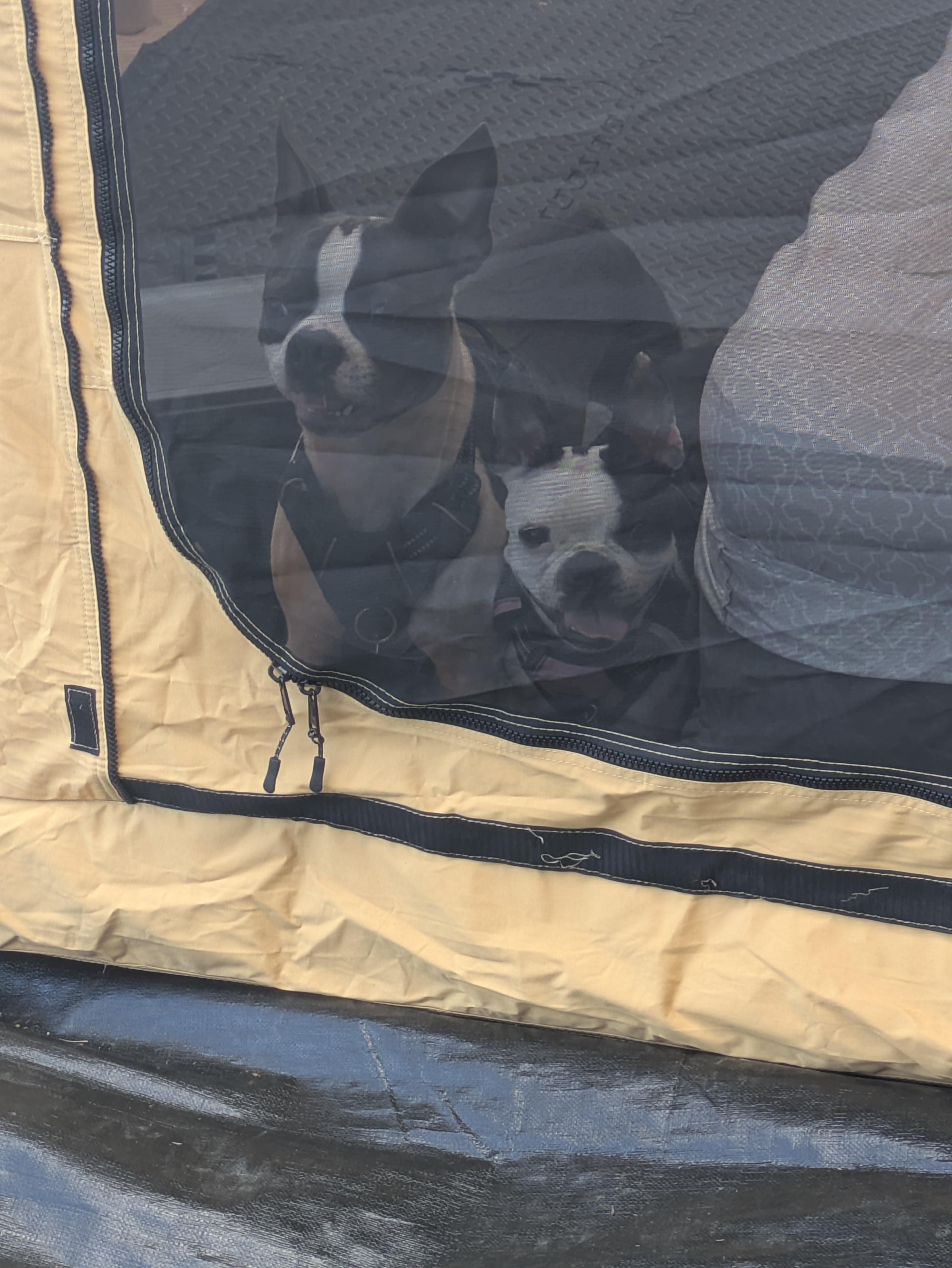 Haw Creek Outdoor Adventures