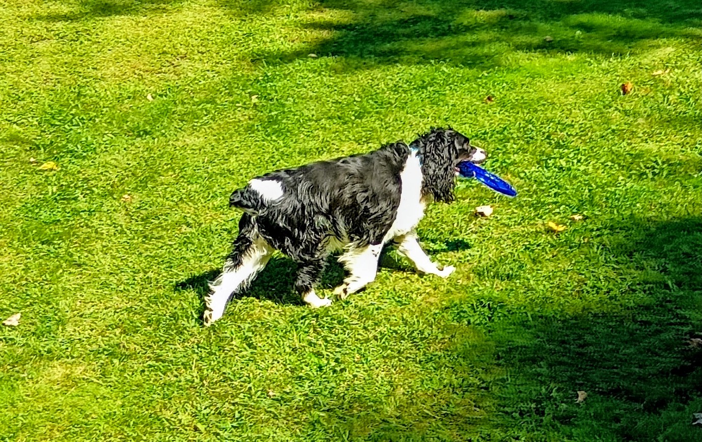 Bill S. and Nancy's property