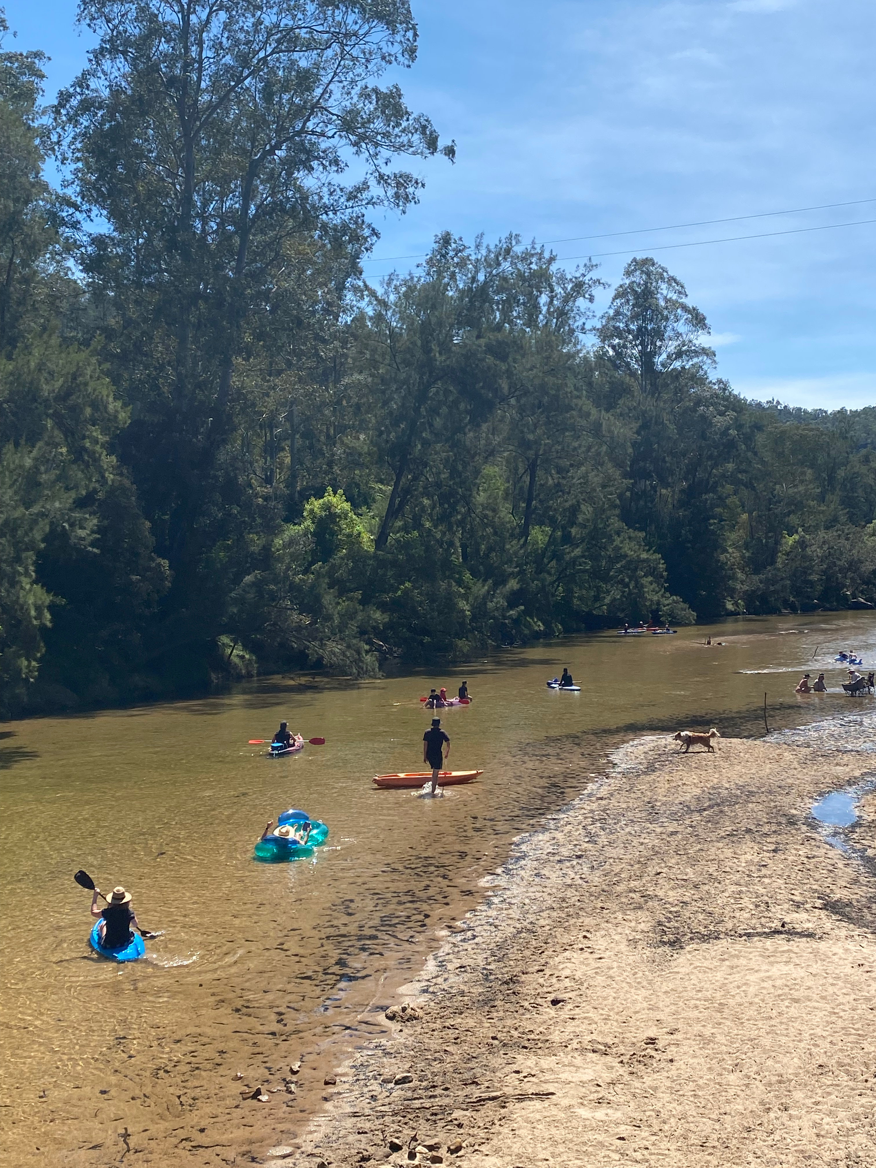 Whispering Gums Colo River Camping