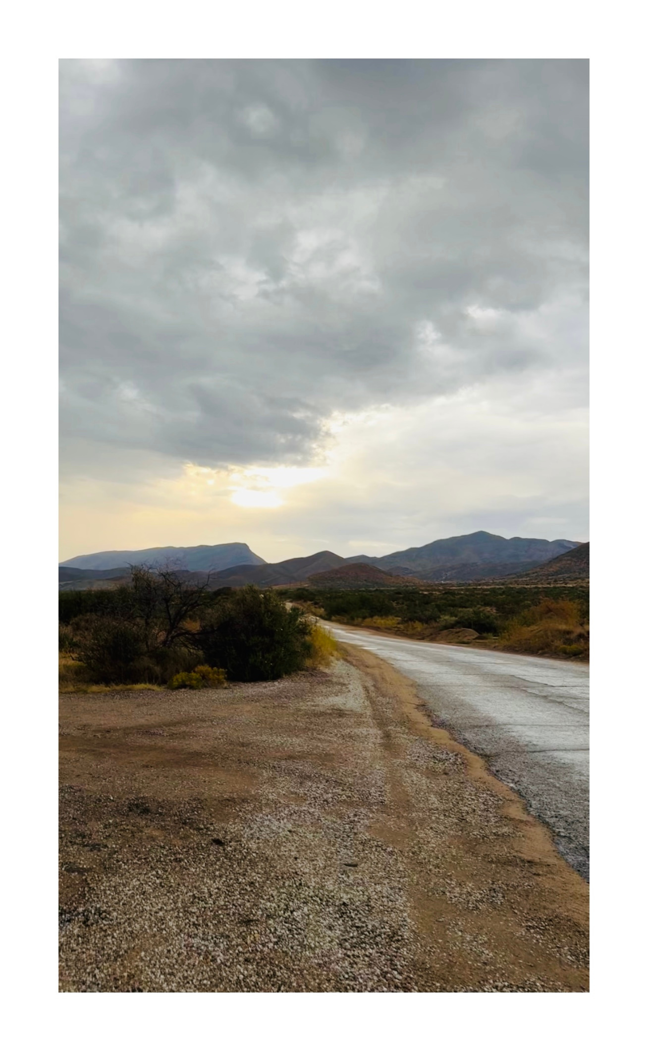 Organ Mountain Views