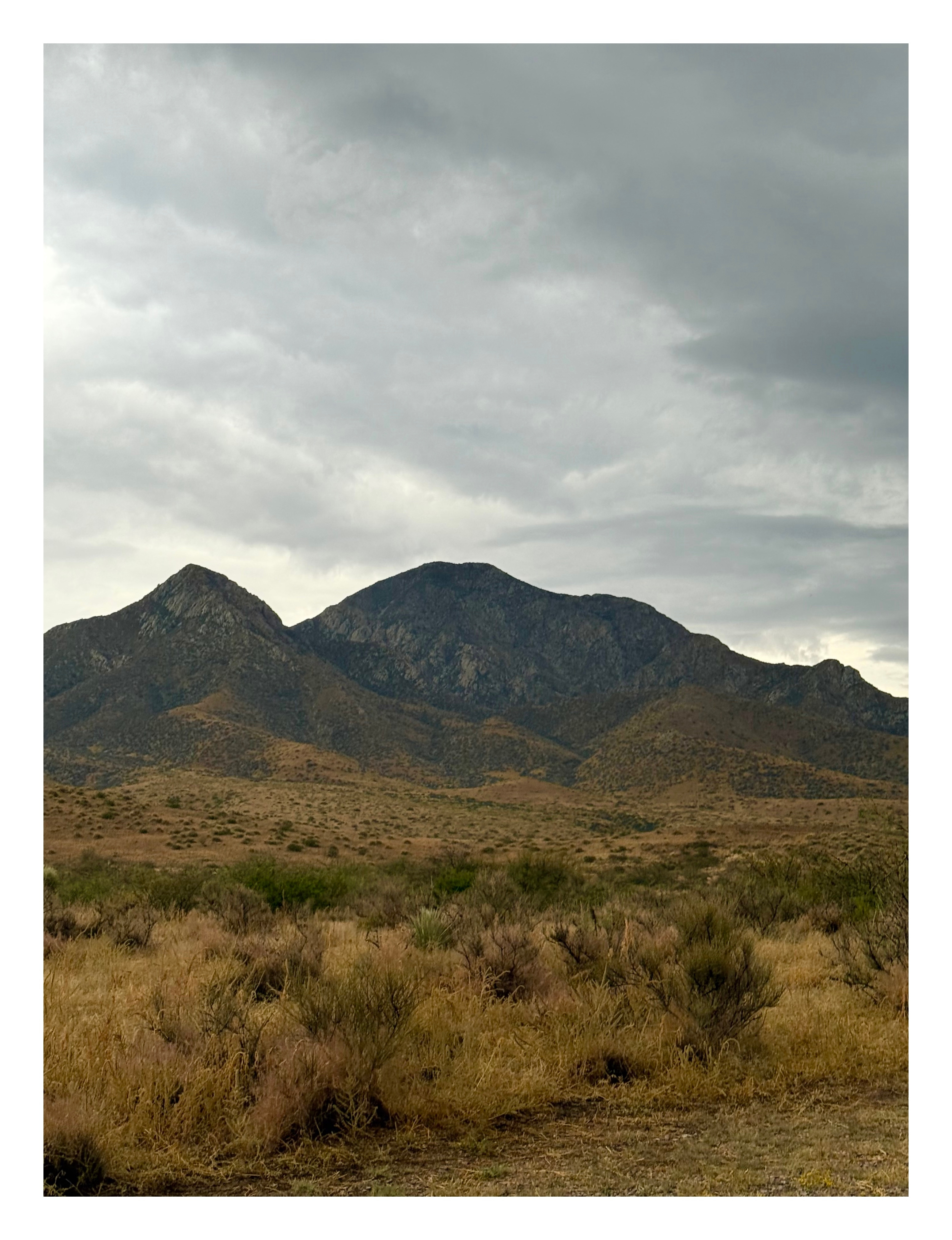 Organ Mountain Views