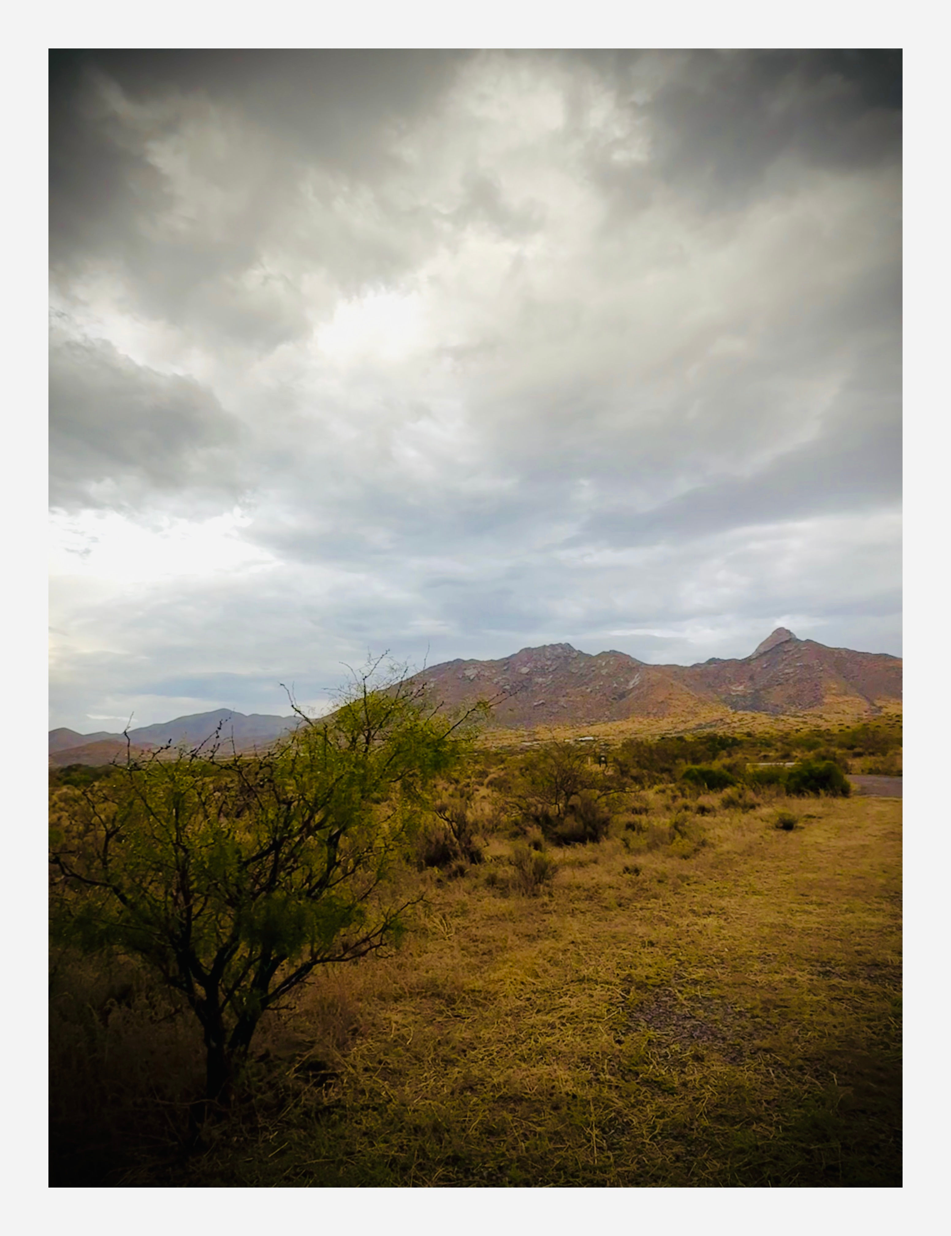 Organ Mountain Views