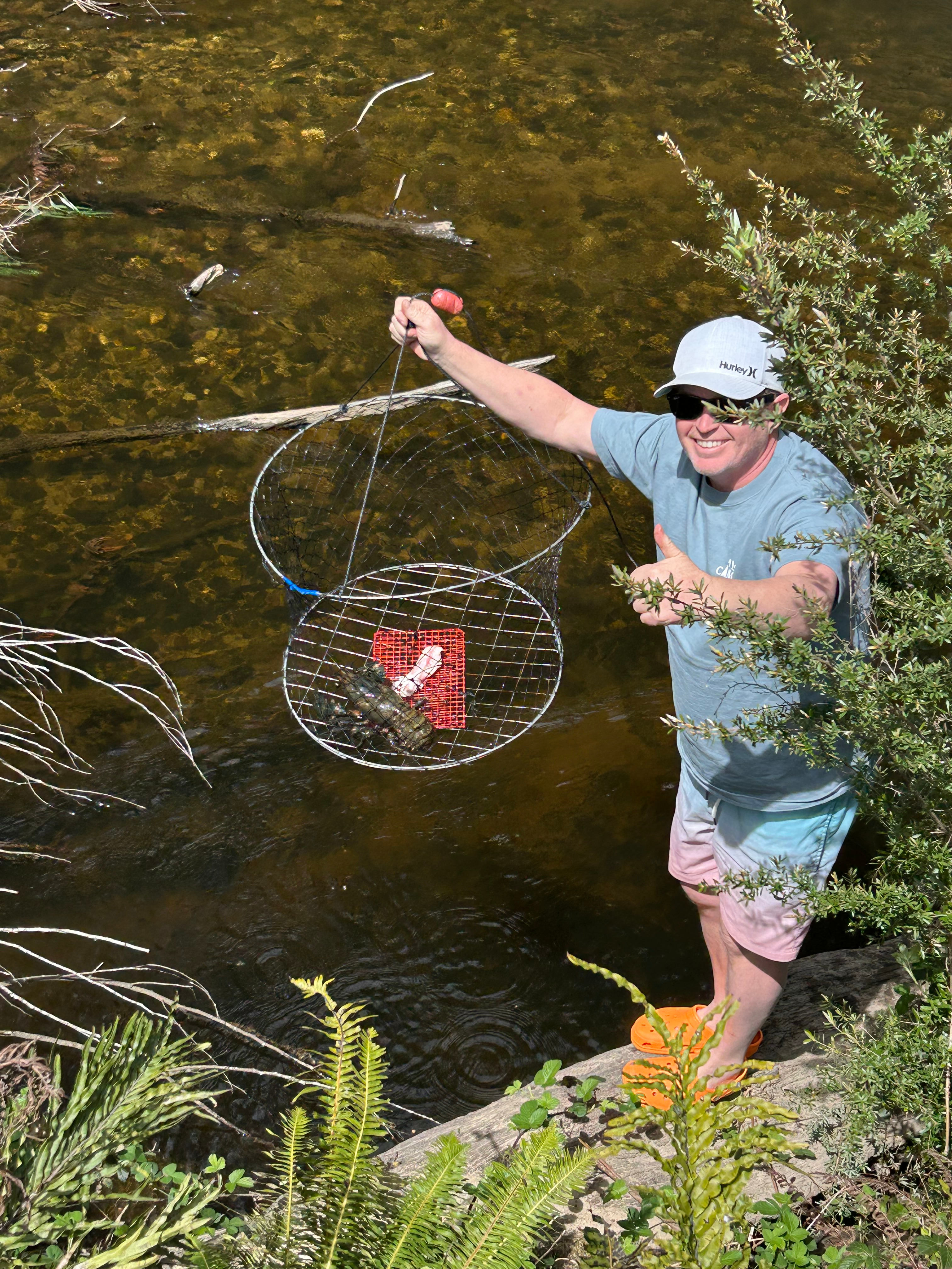 Hazelnut Valley Farm Stay