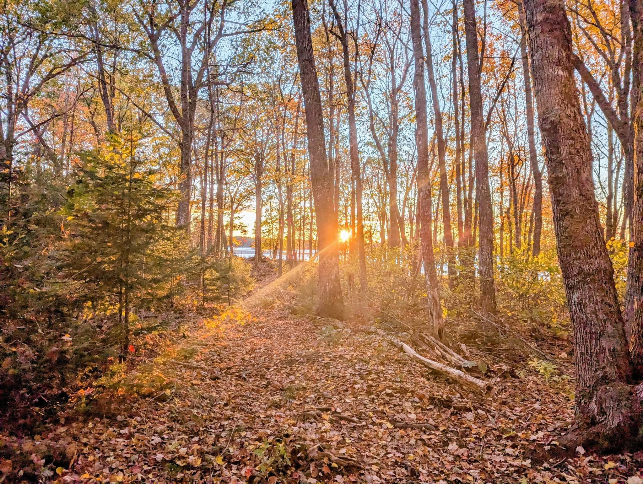 Wild Soul Serenity Campground