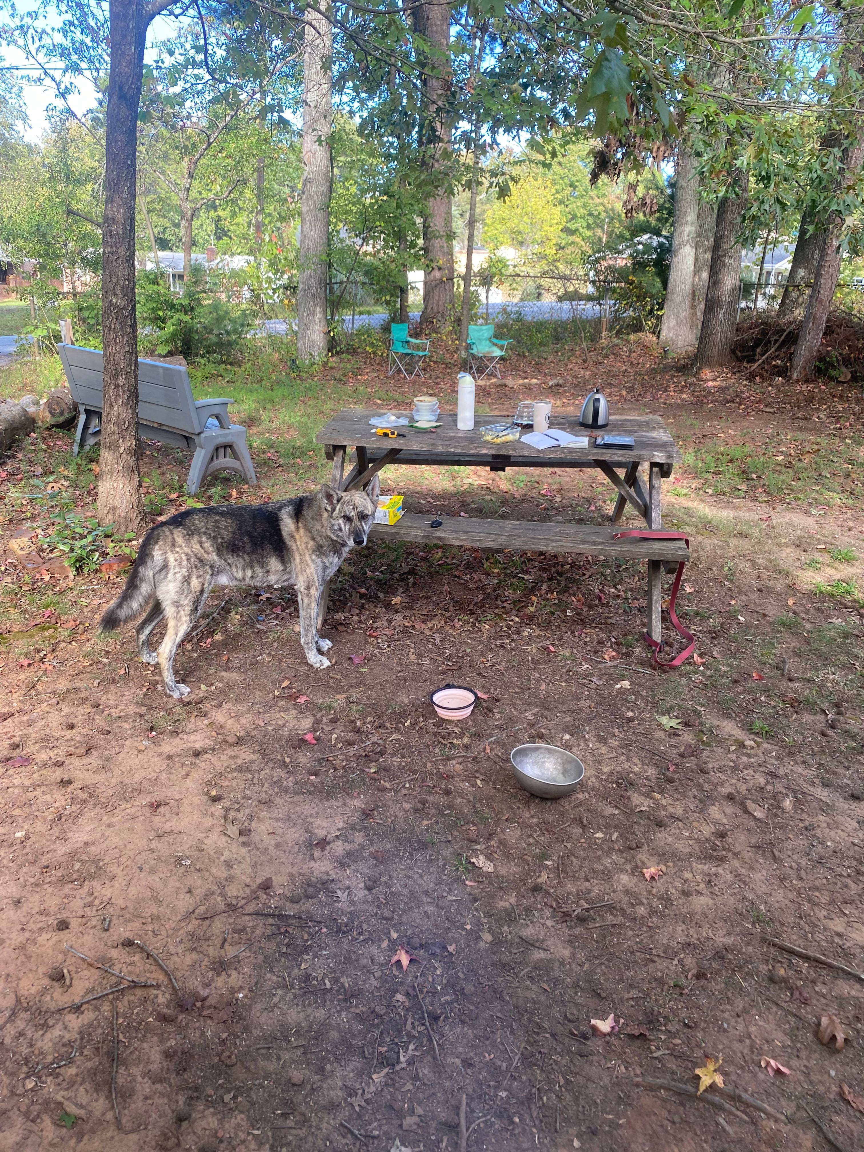 Greenville Camping Near Paris Mtn